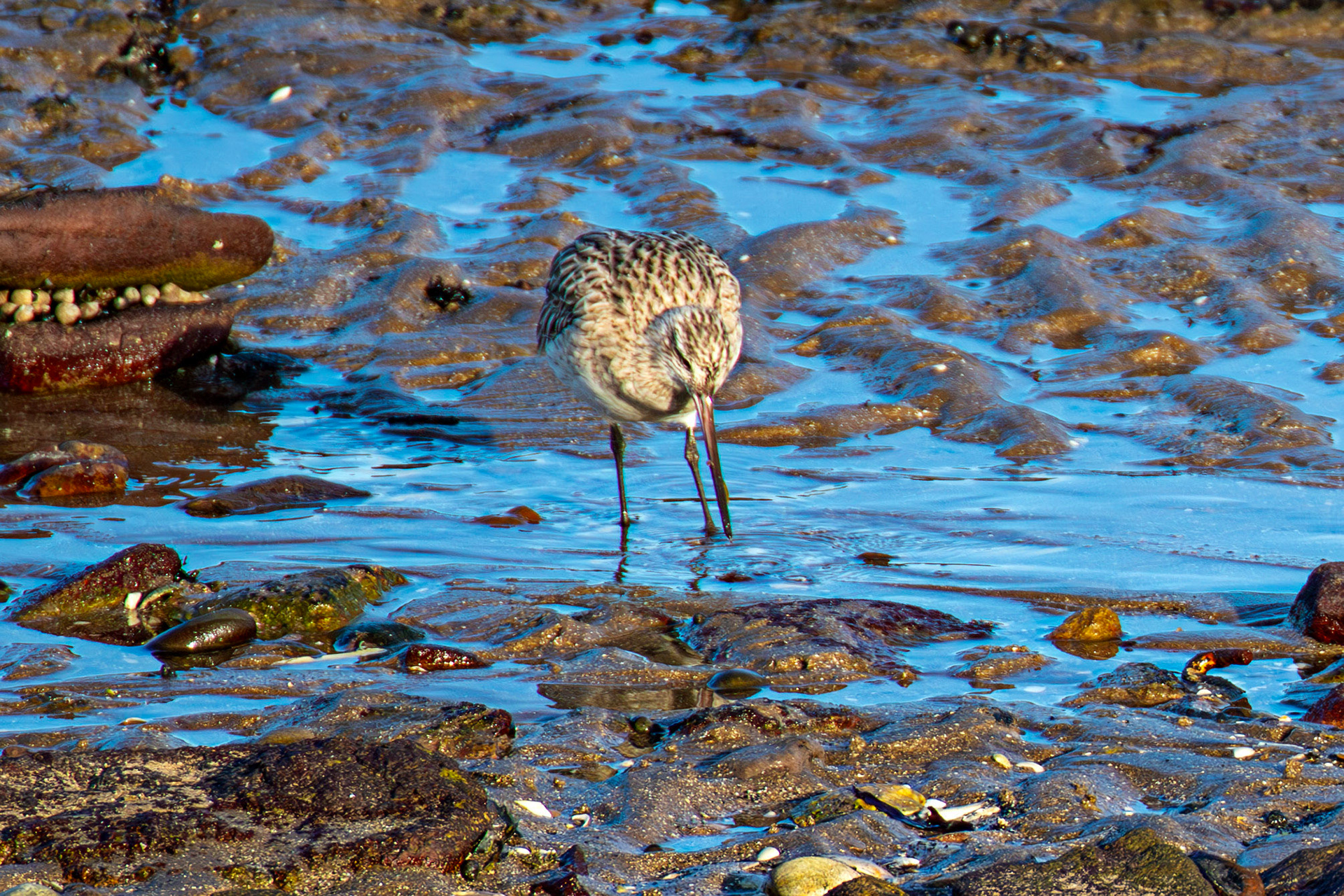 Port Seton 18 November 2024
