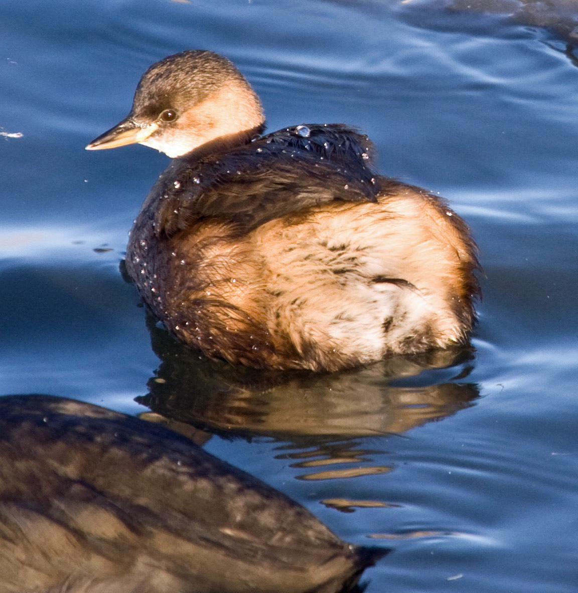 LinlithgowPlease see my other Photographs at: http://www.jamespdeans.co.uk/