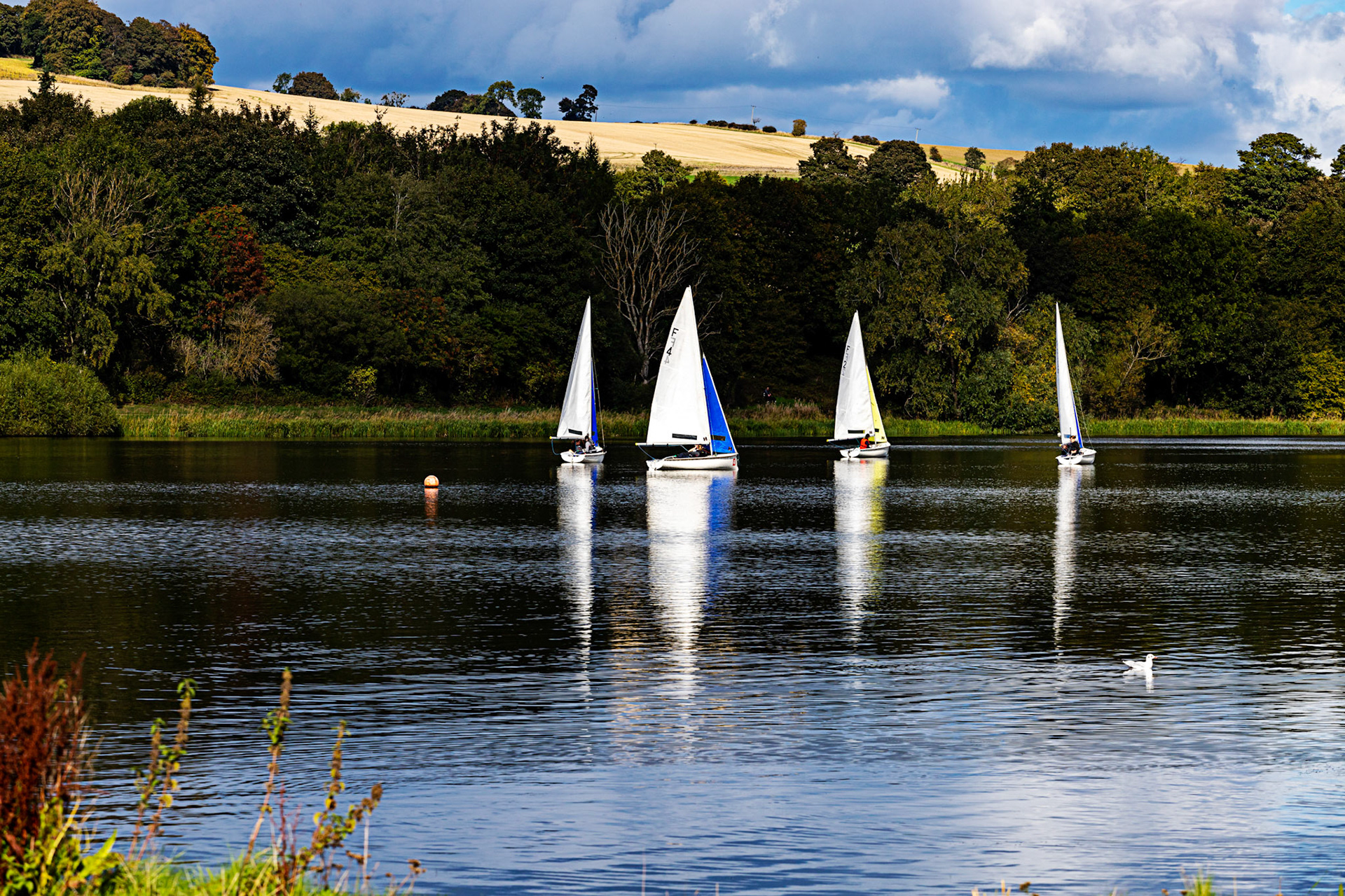 Sailing on Linlithgow Loch, with Reflections - 24 September 2022