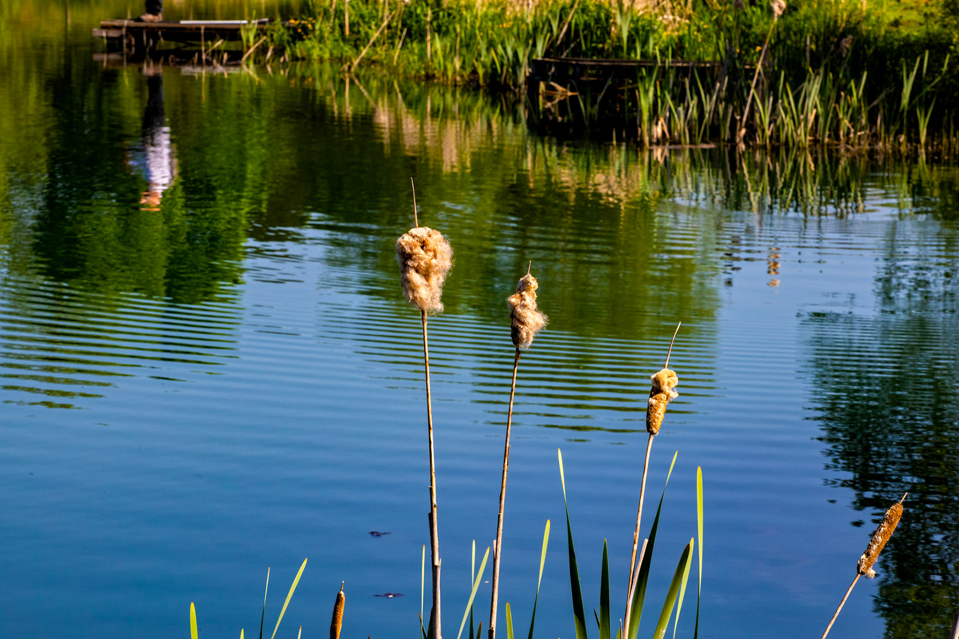 Kinross Fishery 11 May 2024
