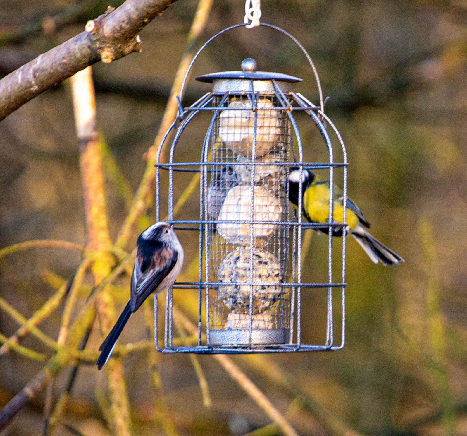 Korean War Memorial 18 January 2024