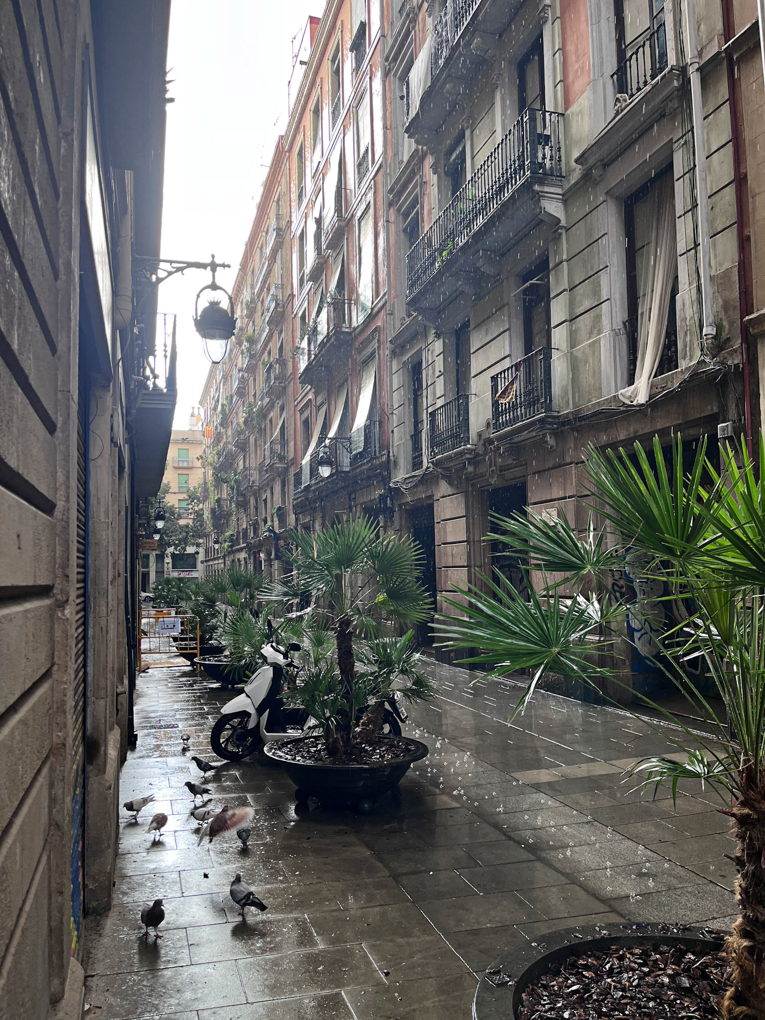 Barcelona 11 Sep 2025