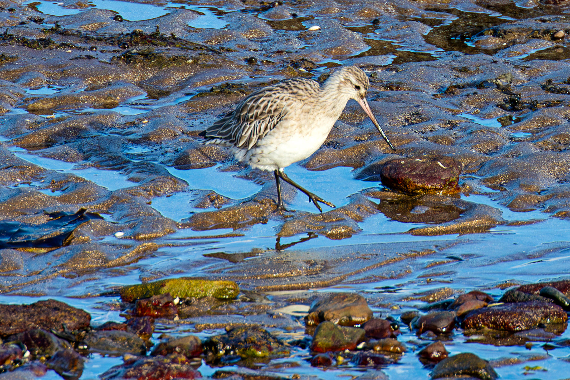 Port Seton 18 November 2024