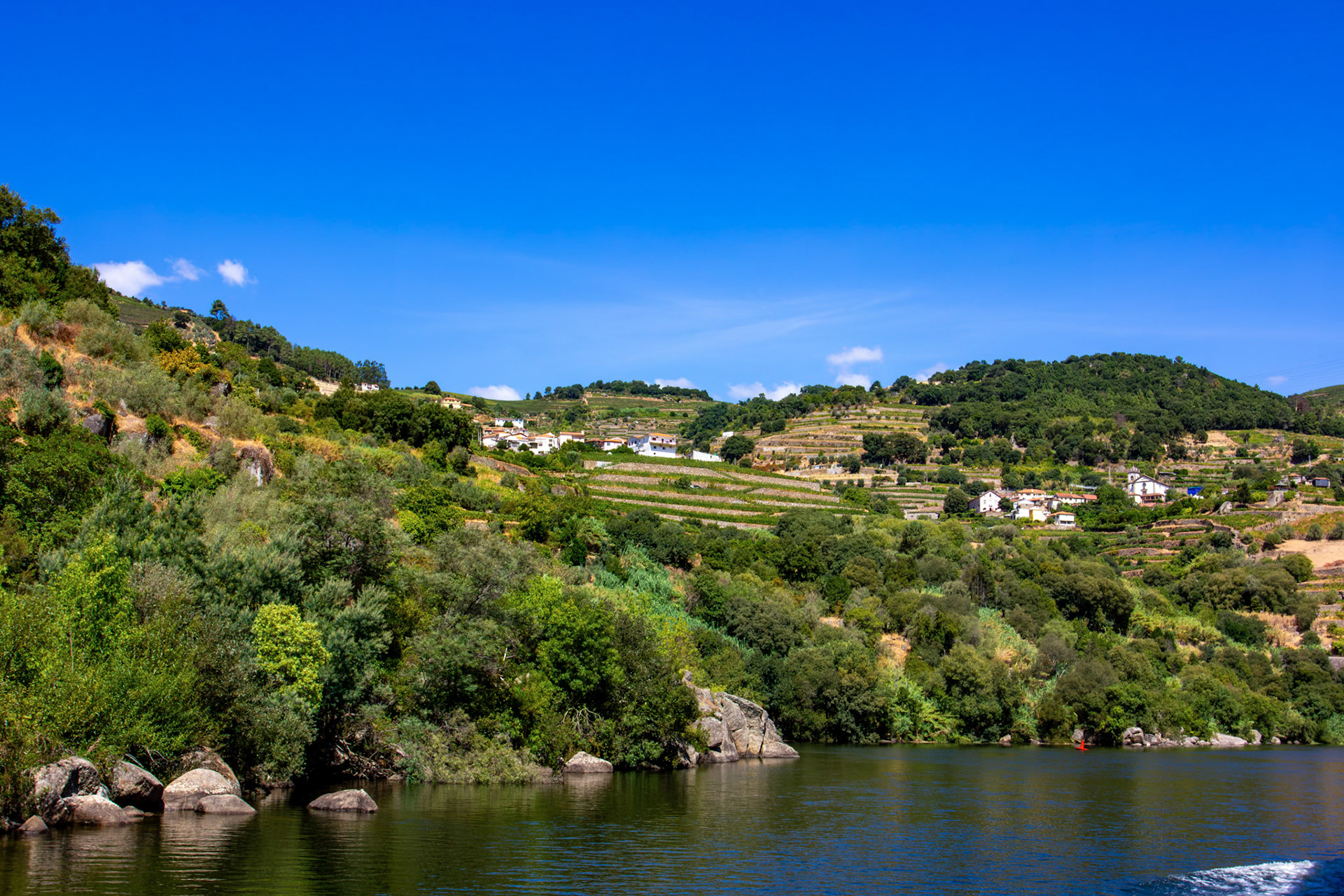 Douro cruise 21 August 2026