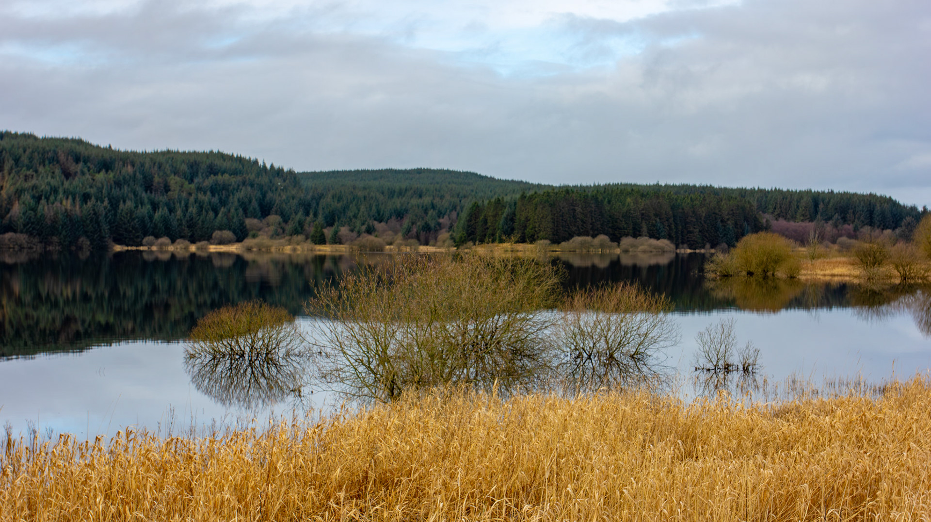 Carron Valley Reservoir 28 February 2026