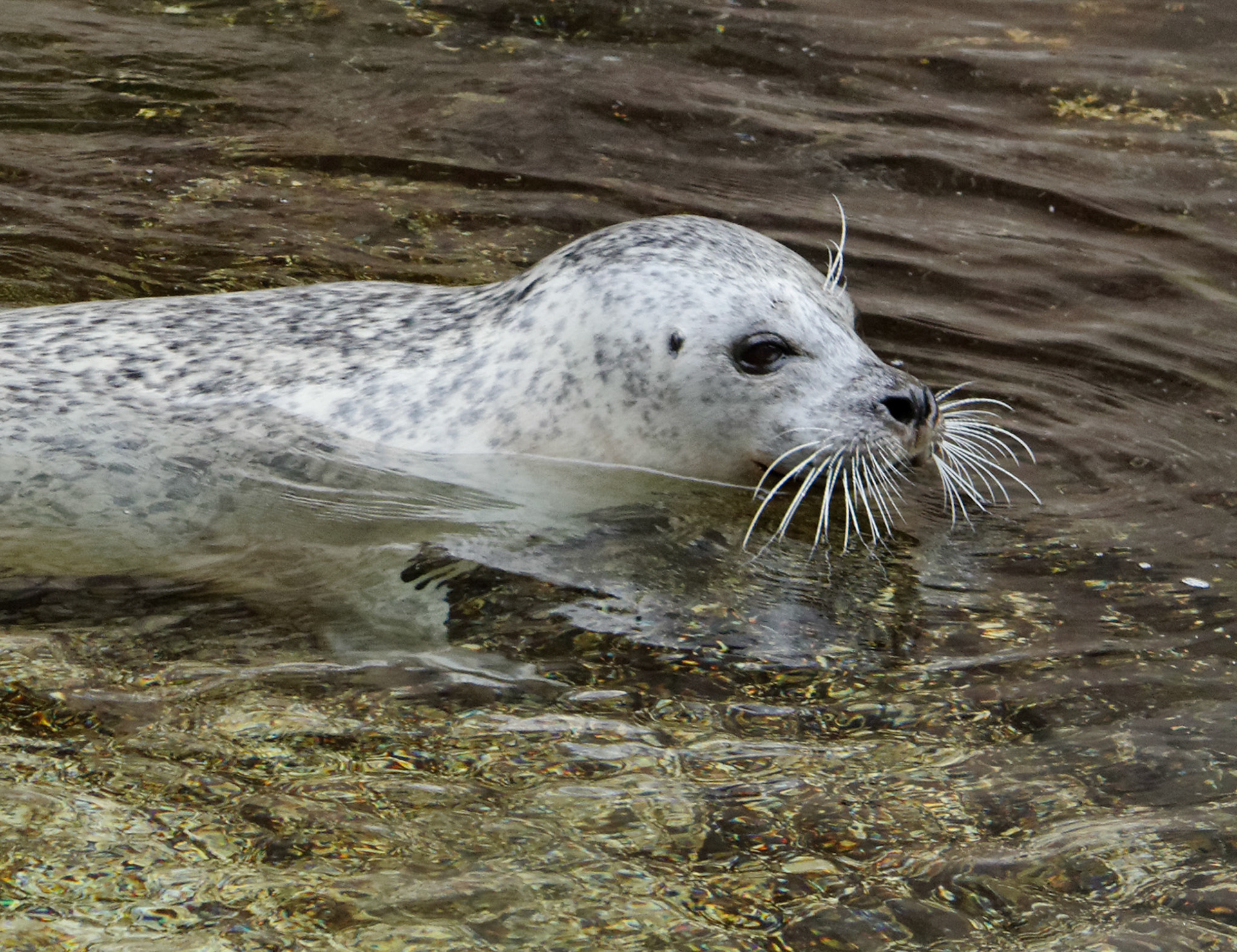 AntwerpPlease see my other Photographs at: http://www.jamespdeans.co.uk/