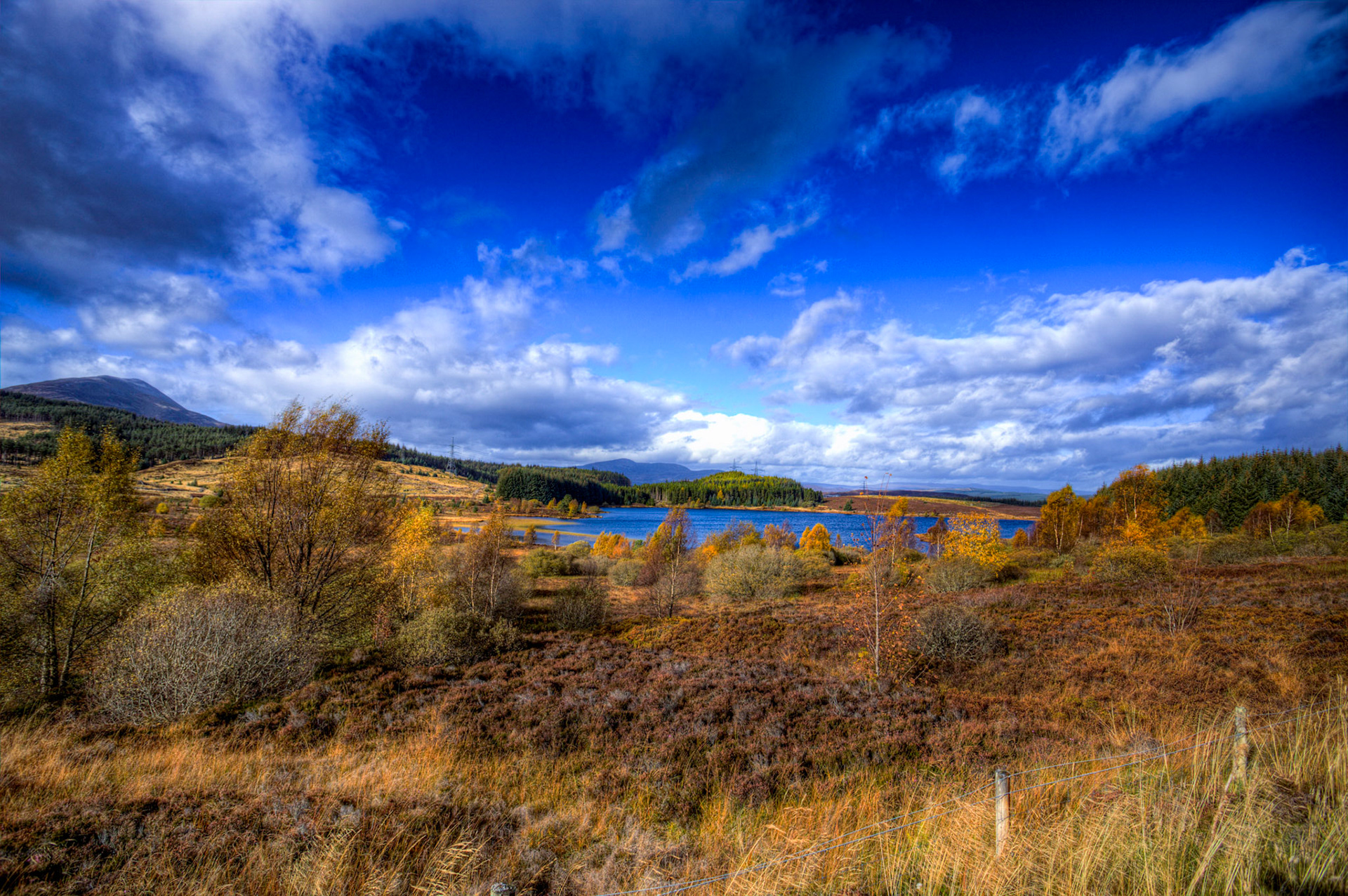 near Schiehallion. Autumnal Tour around Perthshire 19 October 2024