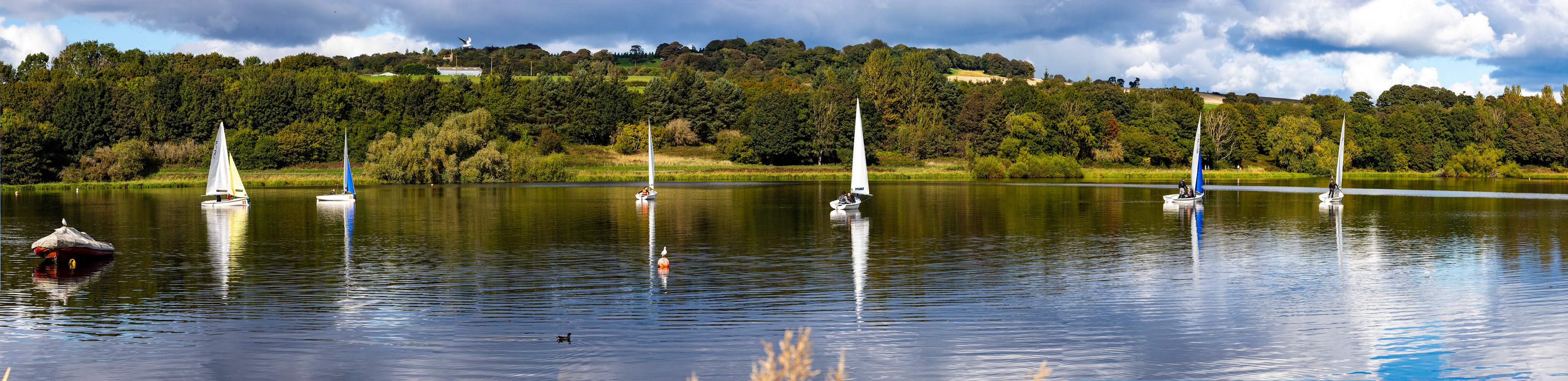Sailing on Linlithgow Loch, with Reflections - 24 September 2022