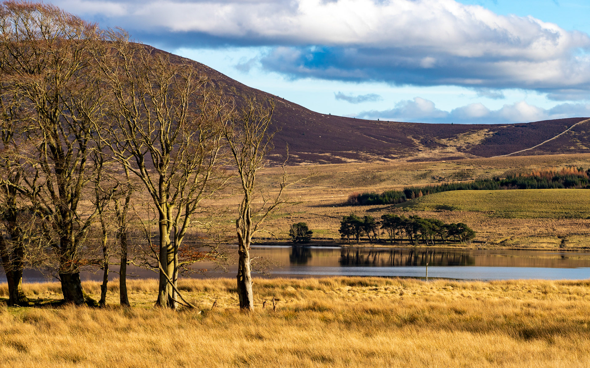 Harperrig Reservoir 26 Feb 2024