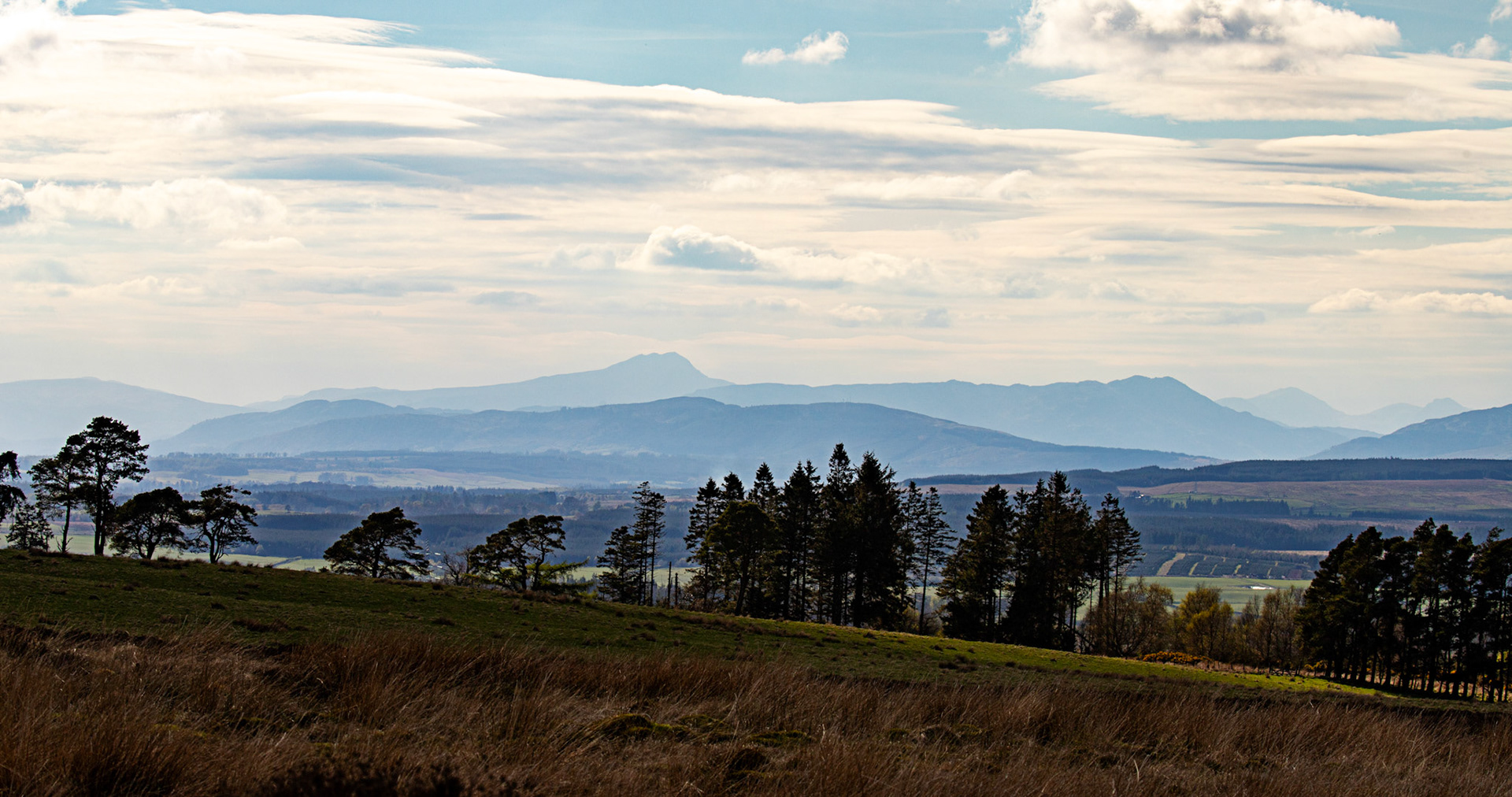 View at Sheriffmuir 20 April 2025
