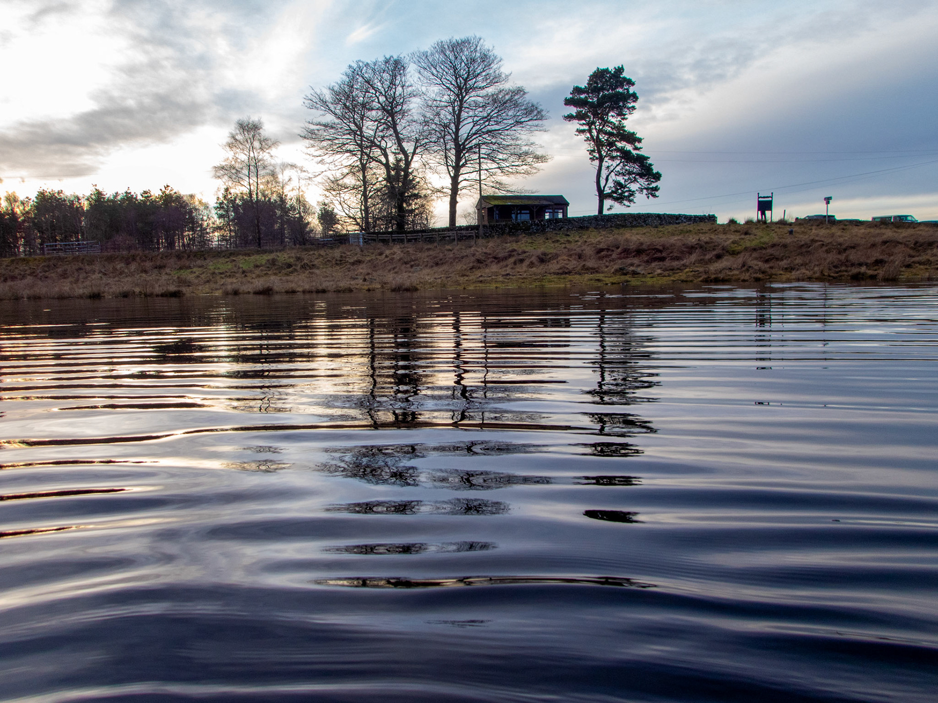 Harperrig Reservoir 15 January 2023