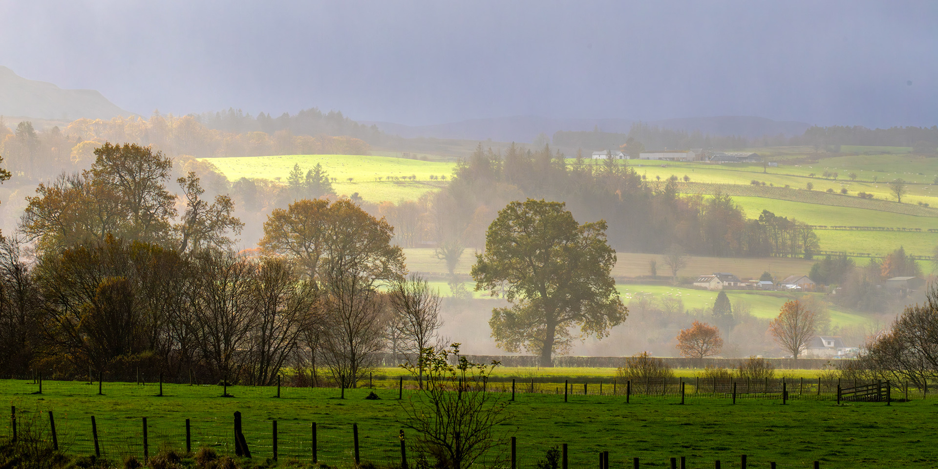 Flanders Moss 12 November 2025