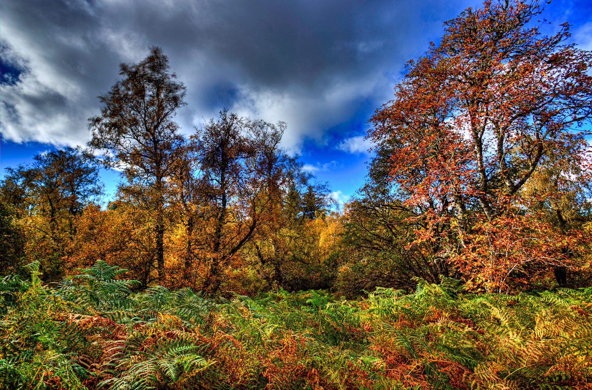 Autumn in Aberdeenshire 14 to 16 October 2022