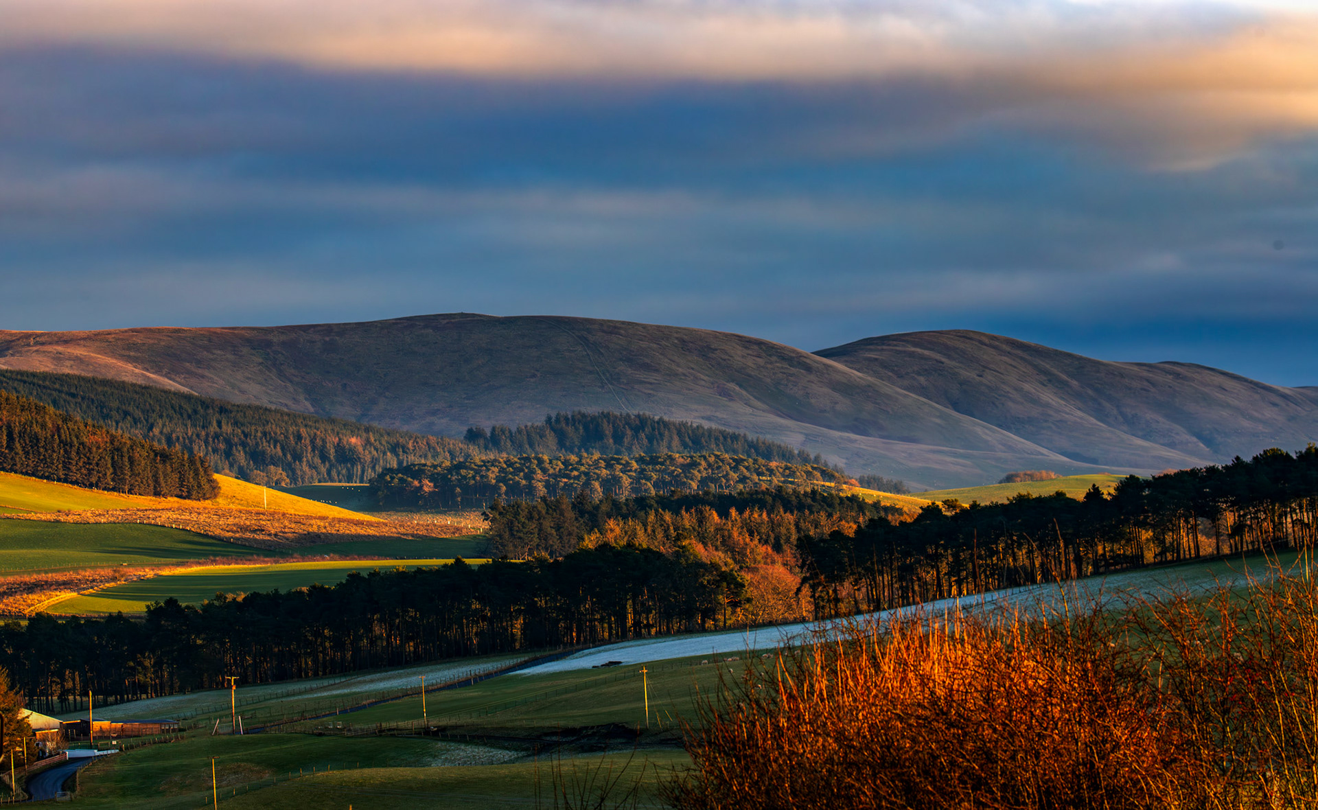 View near Elsrickle 22 January 2025