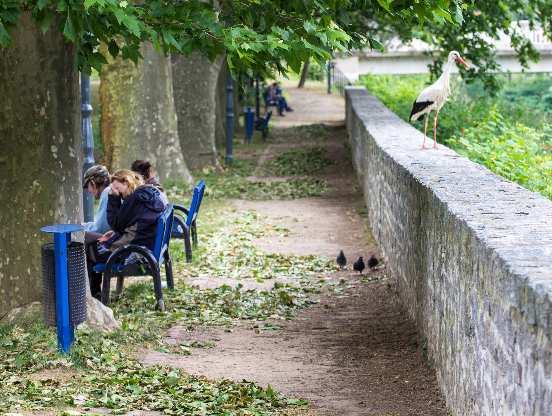 CernayPlease see my other Photographs at: http://www.jamespdeans.co.uk/