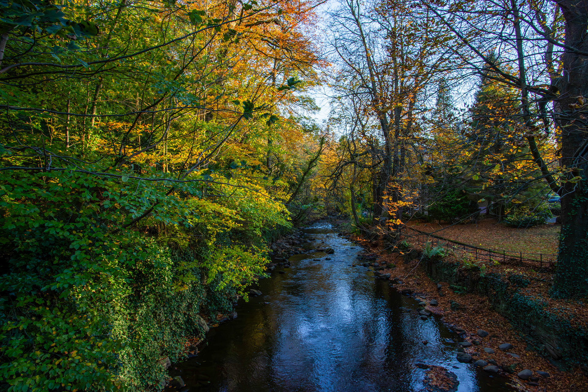 Water of Leith - Colinton 27 October 2025