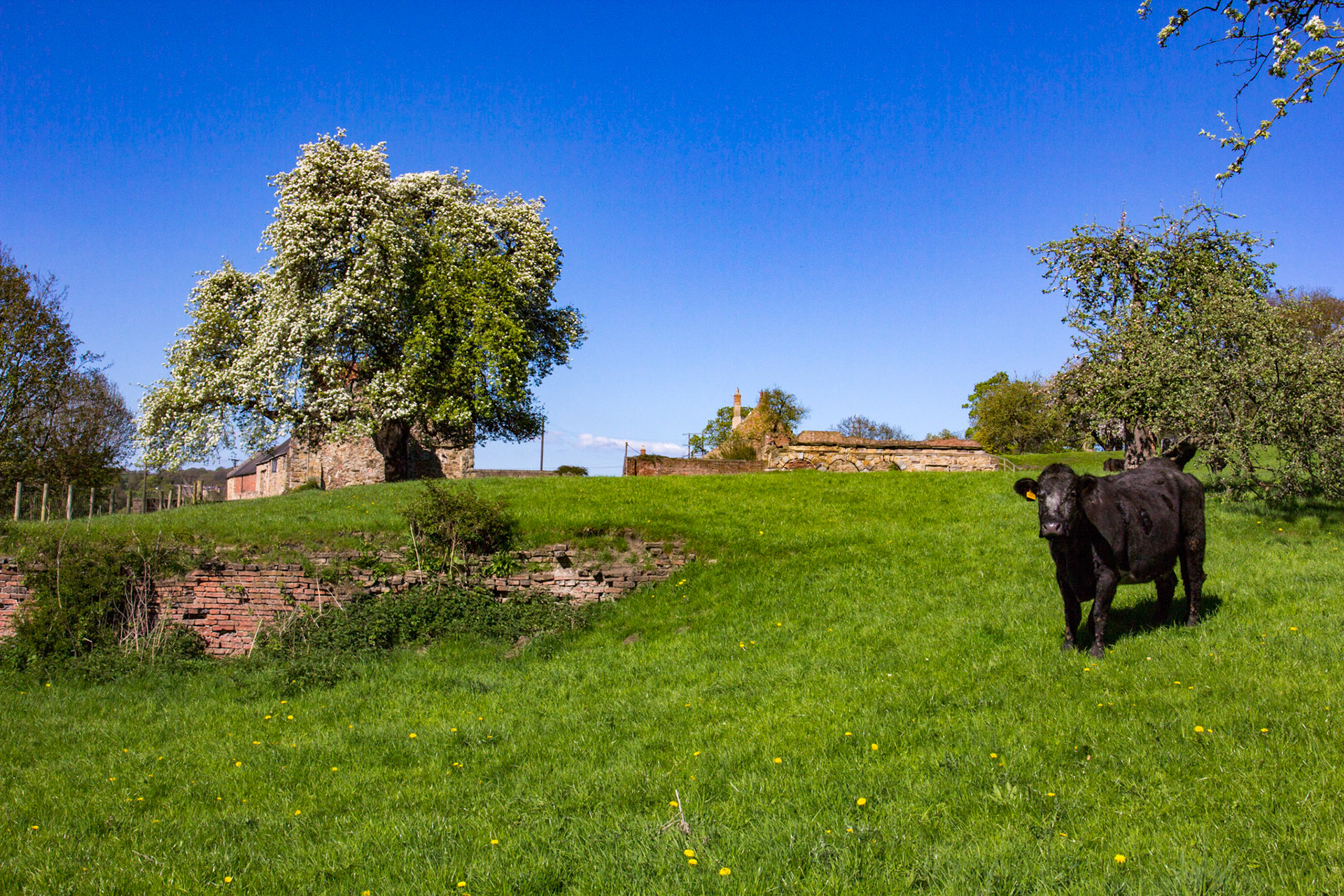Kepier Farm was the Grange farm (dating from 1400-1500s), which provided food to the Abbey in Durham, now Durham Cathedral. This is next to The Hospital of St Giles of Kepier, founded in 1180. Please see my other Photographs at: www.jamespdeans.co.uk