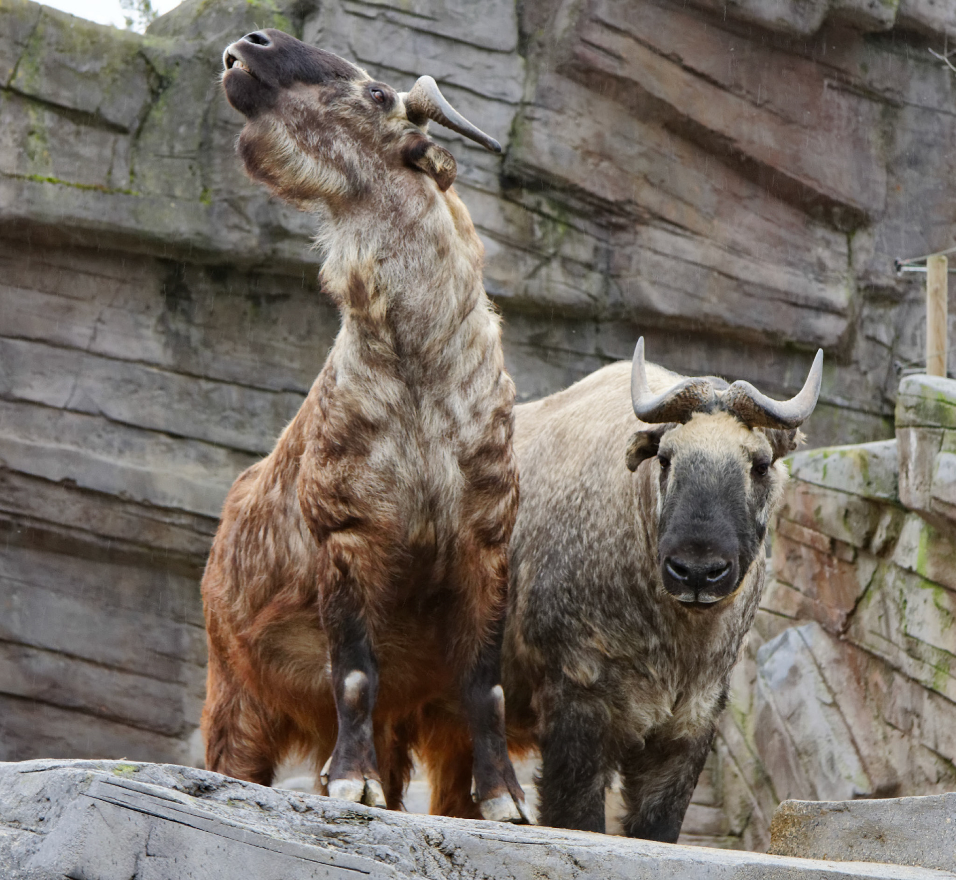 AntwerpPlease see my other Photographs at: http://www.jamespdeans.co.uk/