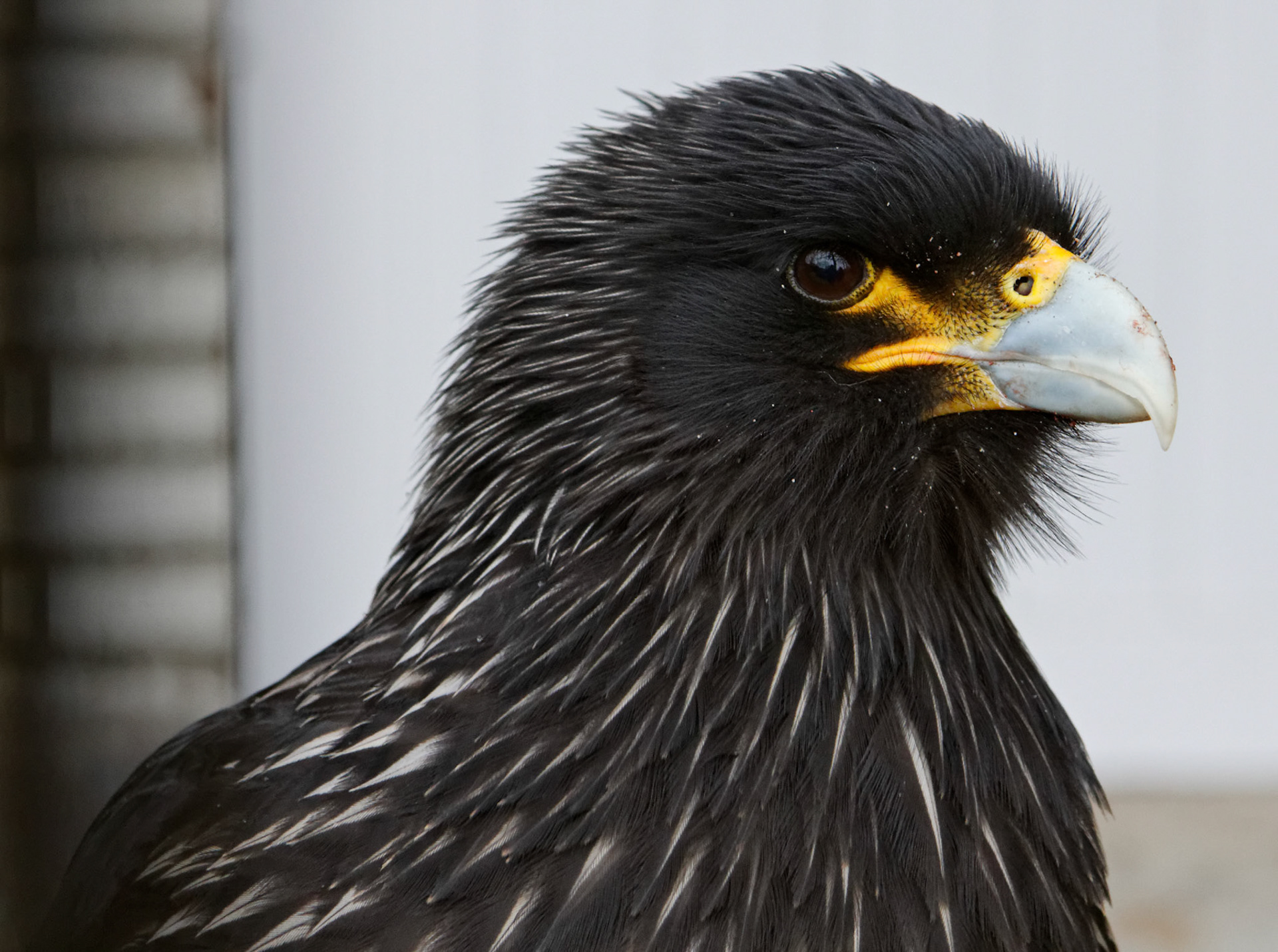 AntwerpPlease see my other Photographs at: http://www.jamespdeans.co.uk/