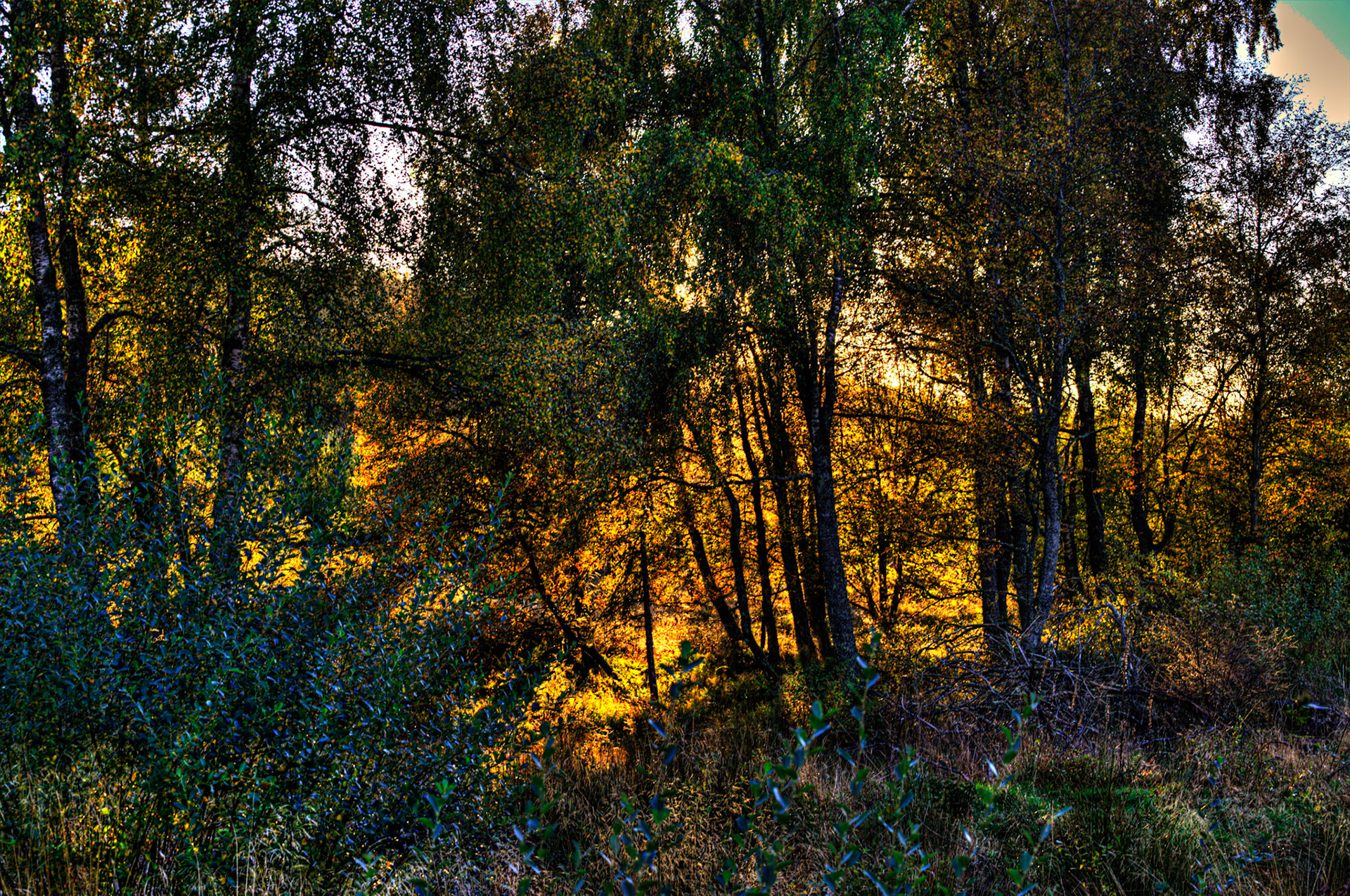 Autumn in Aberdeenshire 14 to 16 October 2022