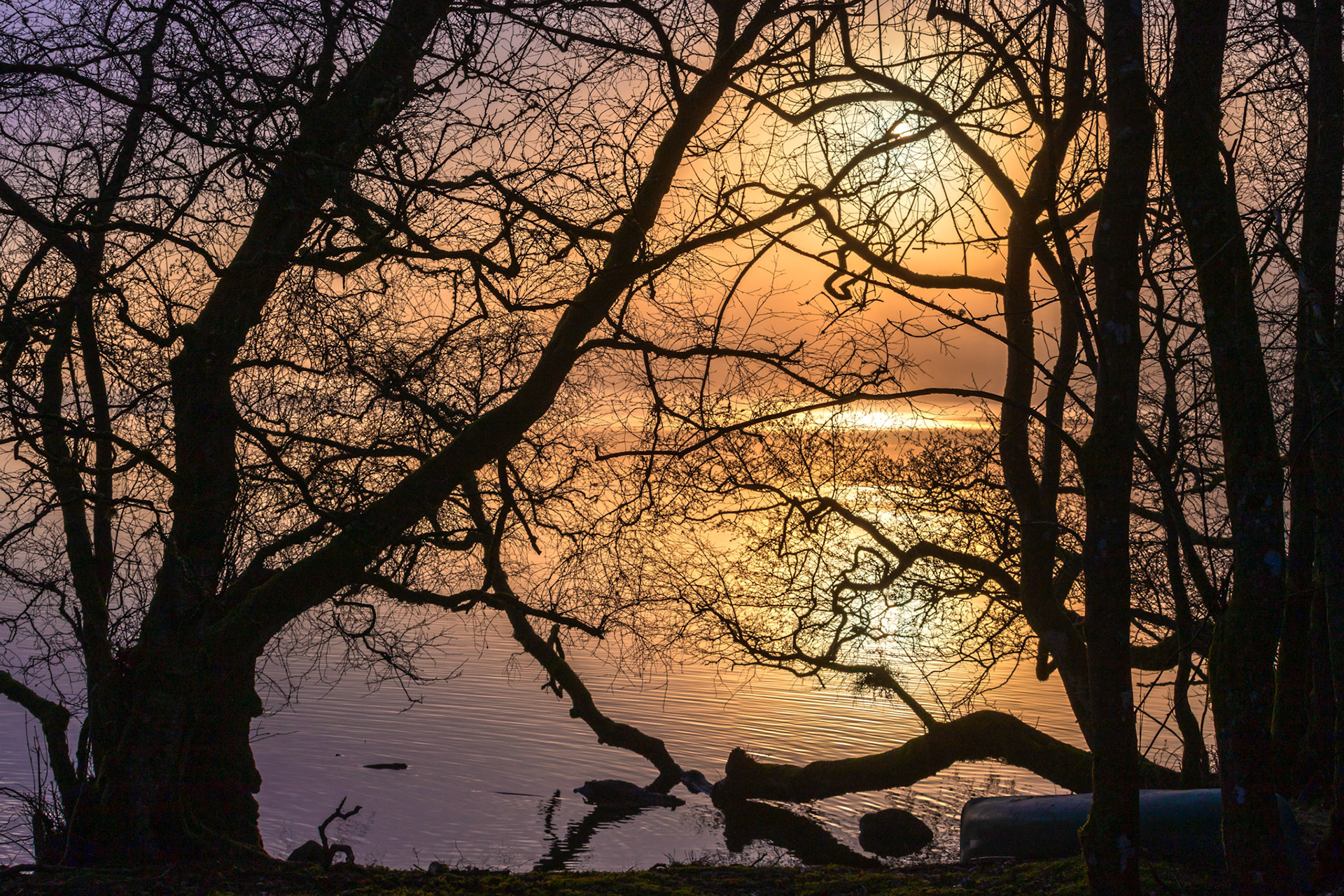 Sunrise atLoch o' the Lowes - Day Out 01 March 2024