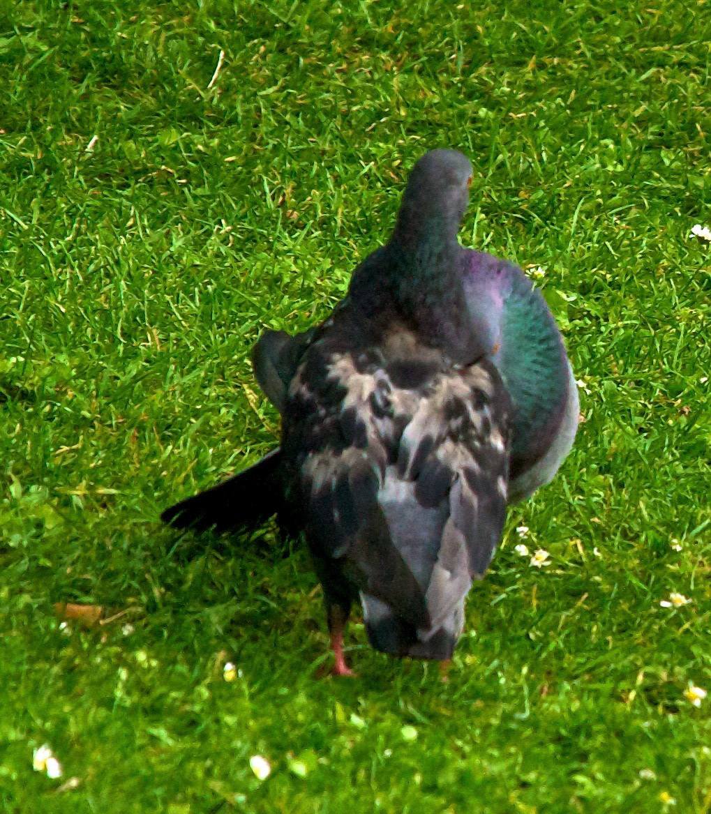 LondonPlease see my other Photographs at: http://www.jamespdeans.co.uk/