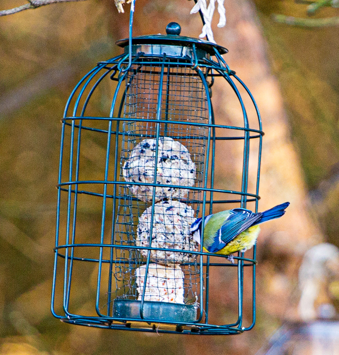 Korean War Memorial 18 January 2024