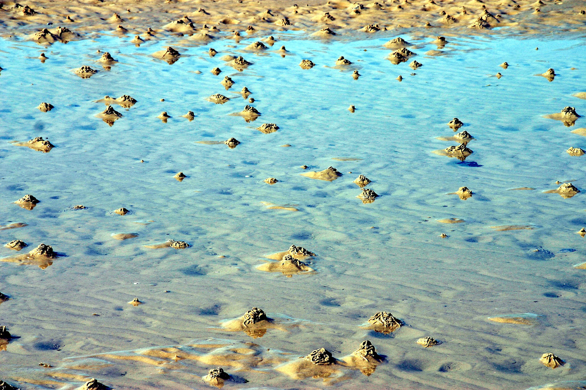 OrkneyPlease see my other Photographs at: http://www.jamespdeans.co.uk/