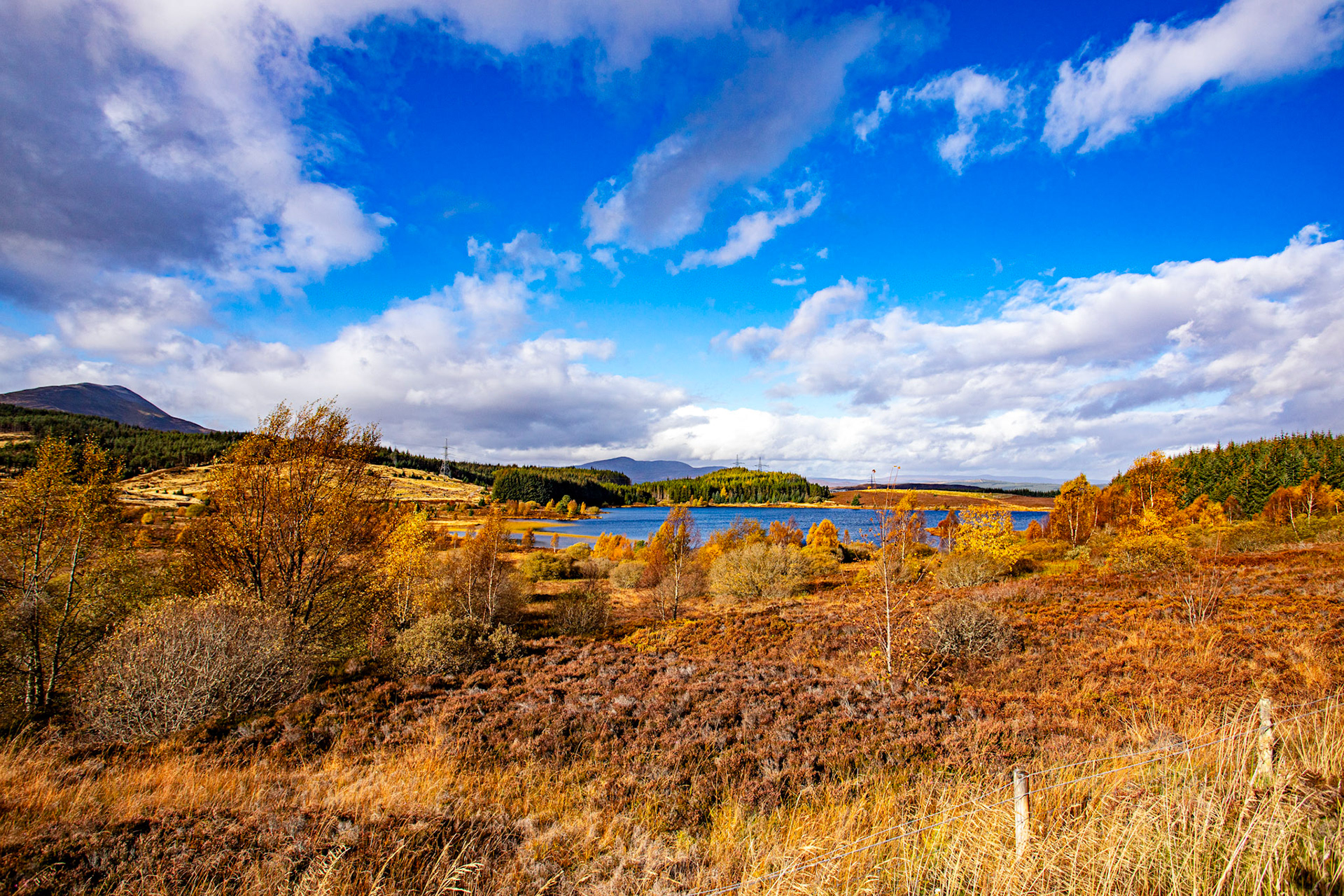 near Schiehallion. Autumnal Tour around Perthshire 19 October 2024
