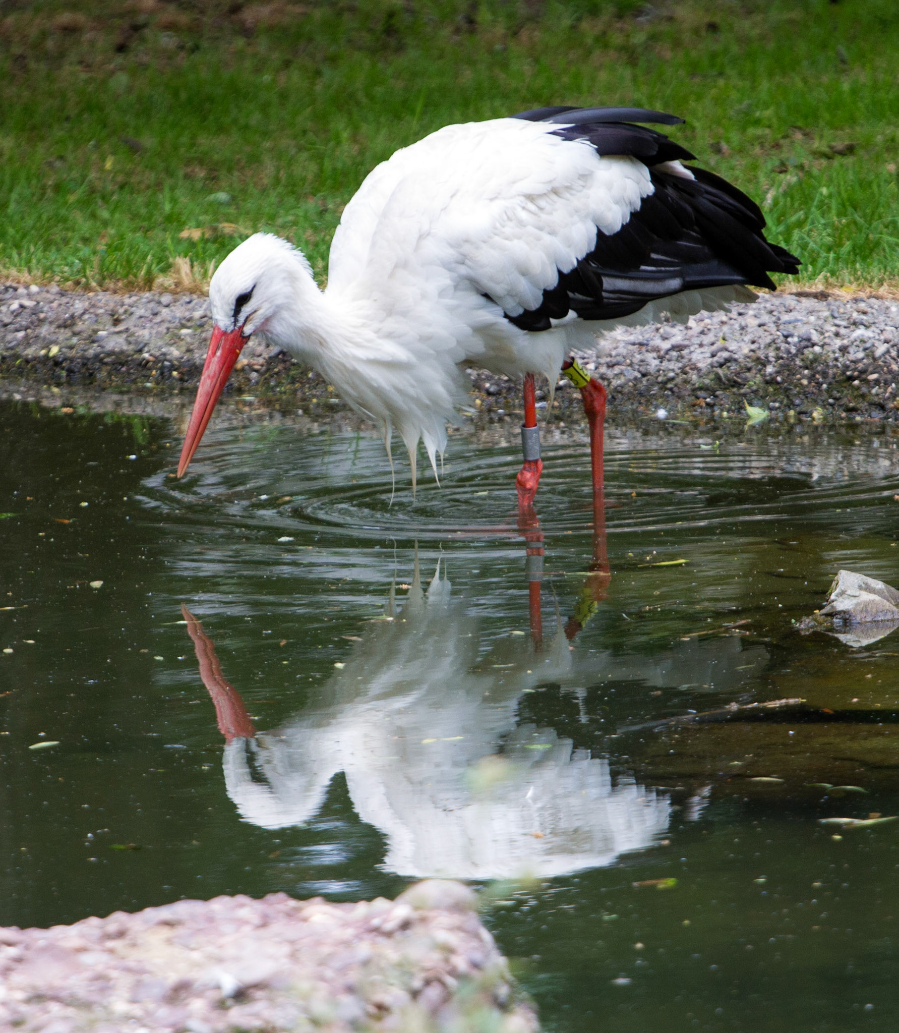 CernayPlease see my other Photographs at: http://www.jamespdeans.co.uk/