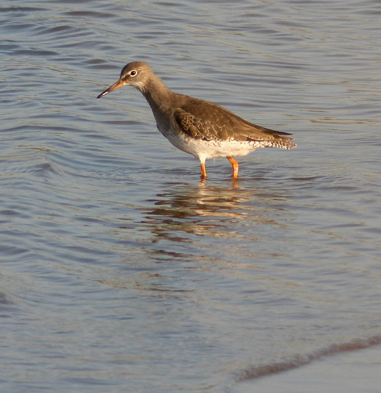 YthanPlease see my other Photographs at: http://www.jamespdeans.co.uk/