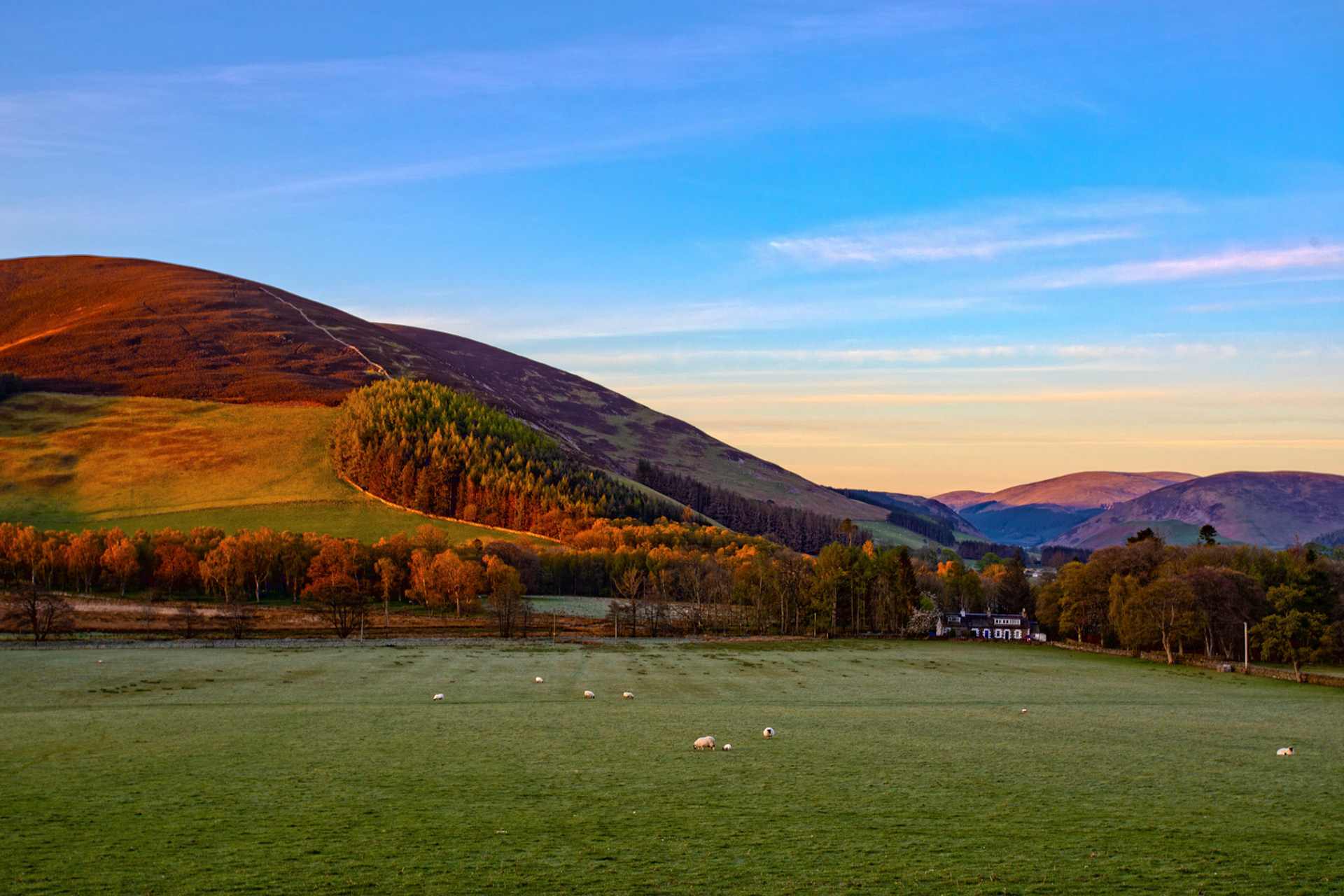Scenery around Cademuir Hill