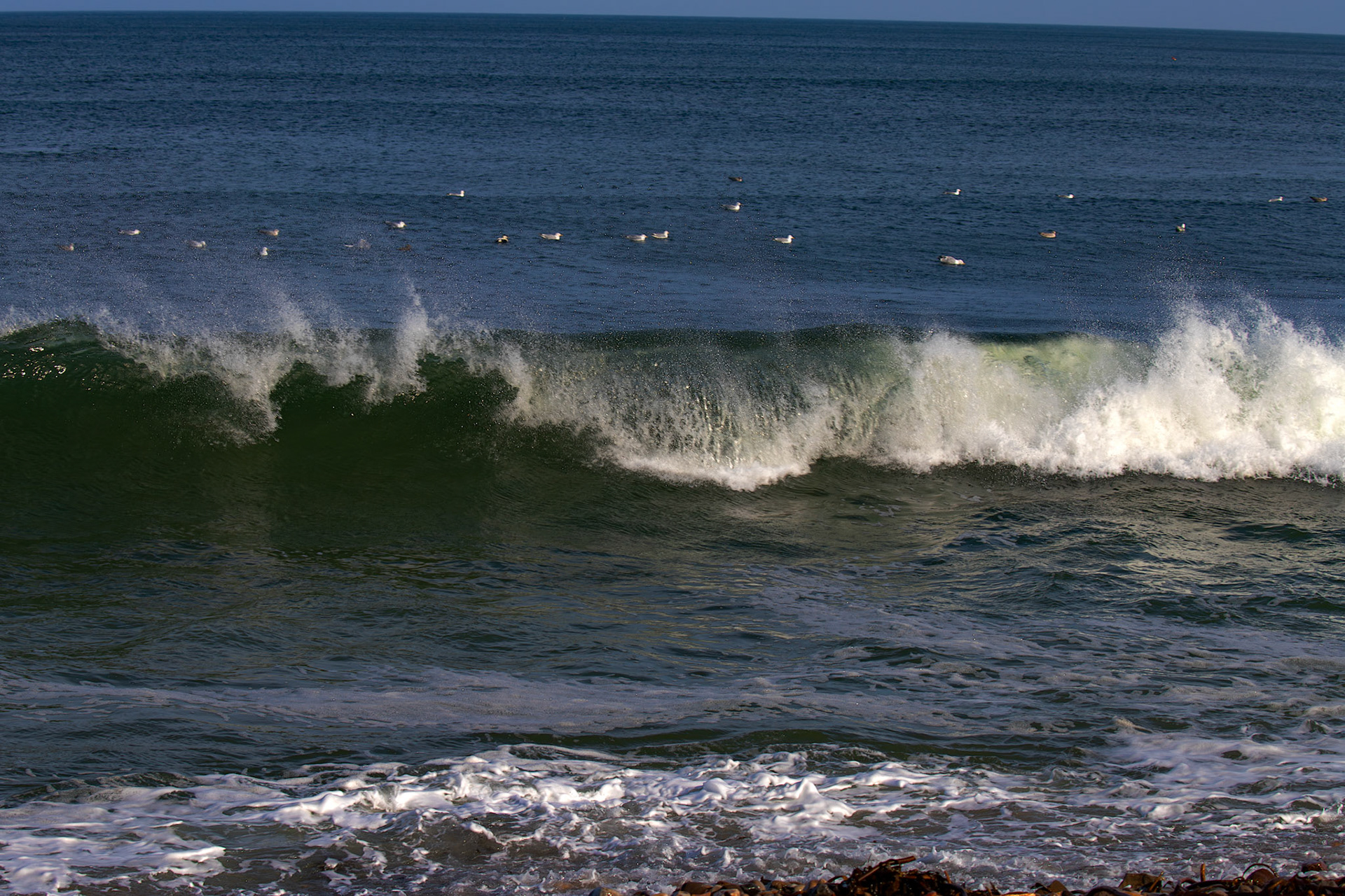 Cullen 05 March 2026