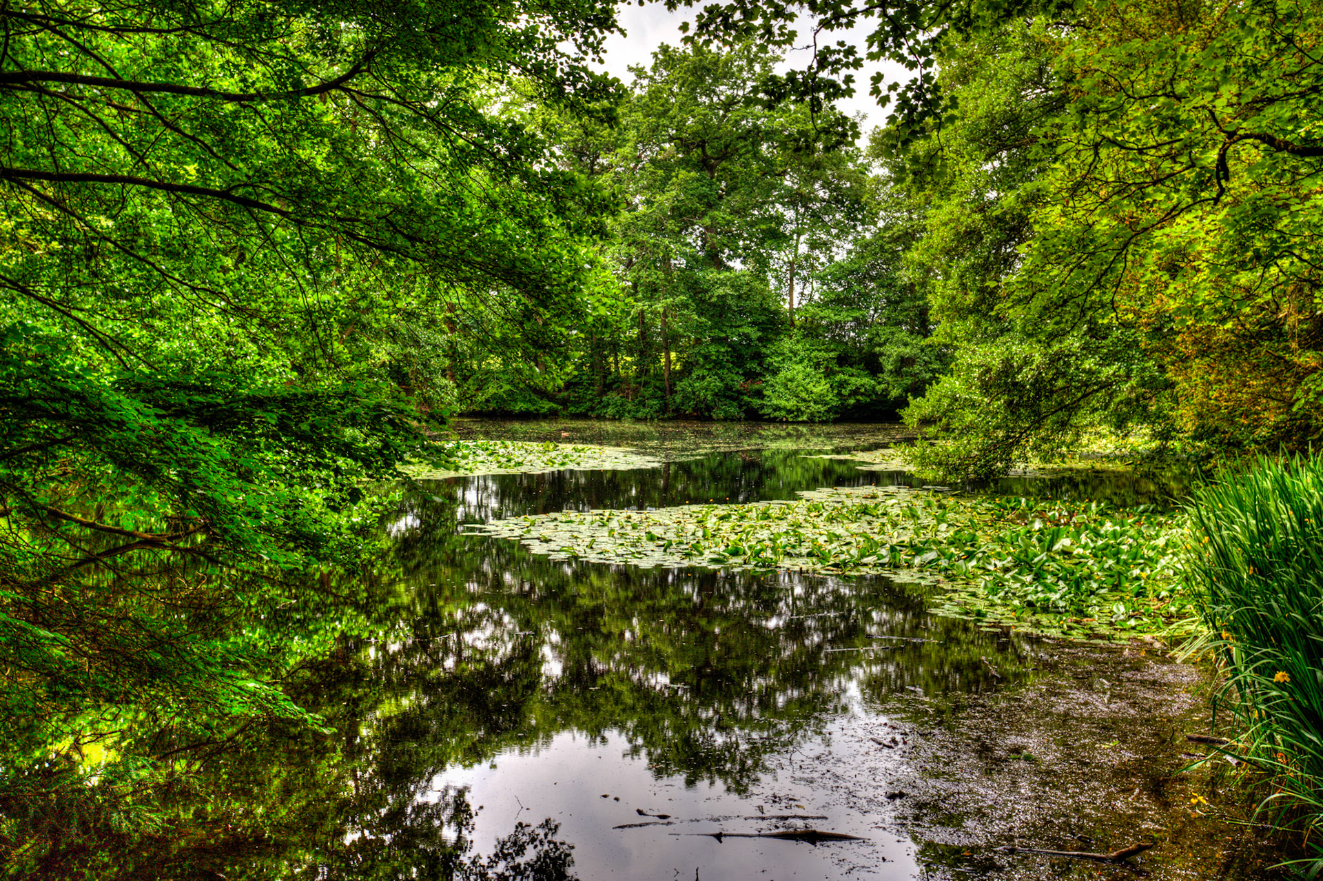 Baddesley Clinton 18 June 2023