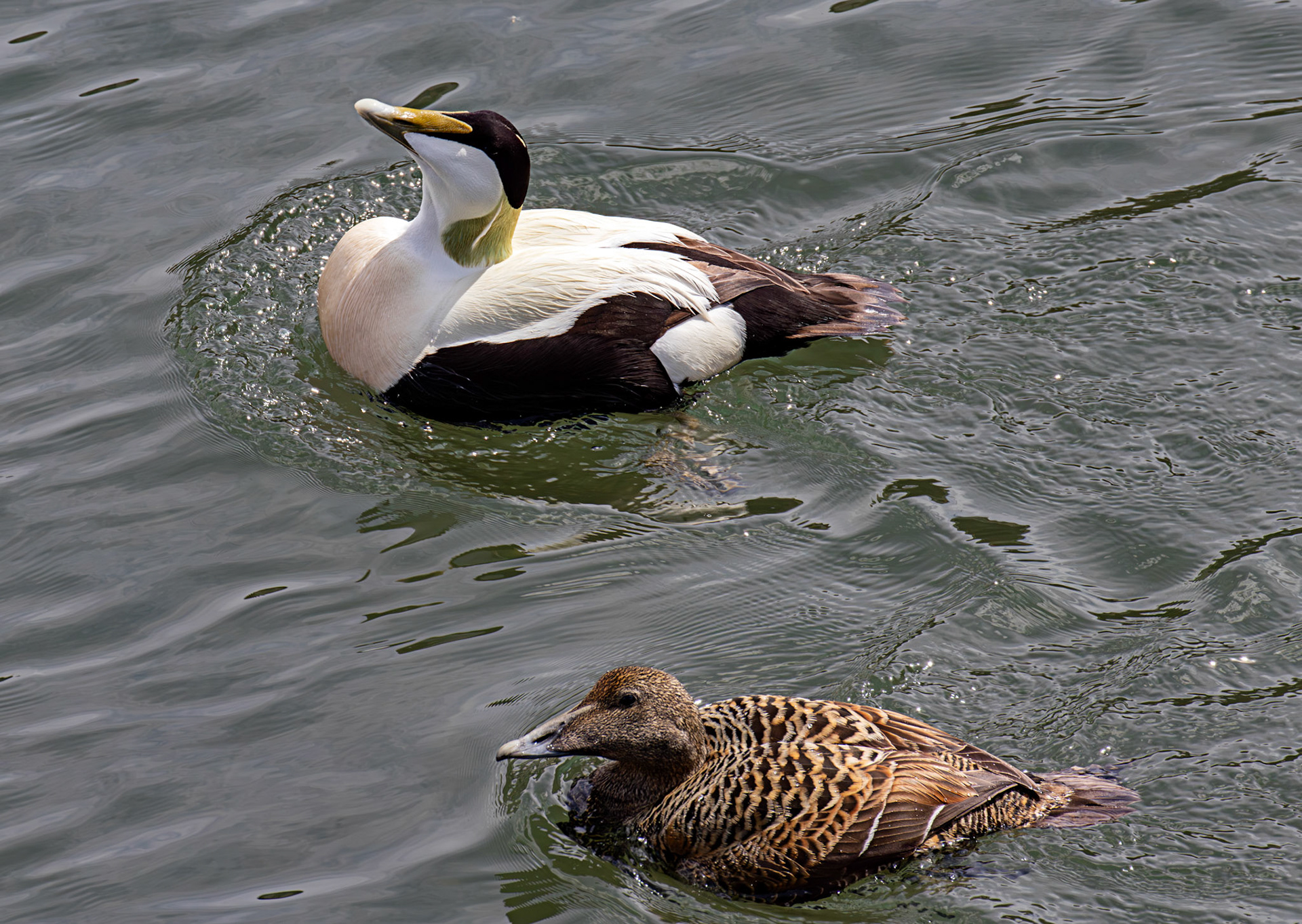 Kirkcaldy Harbour 23 May 2026
