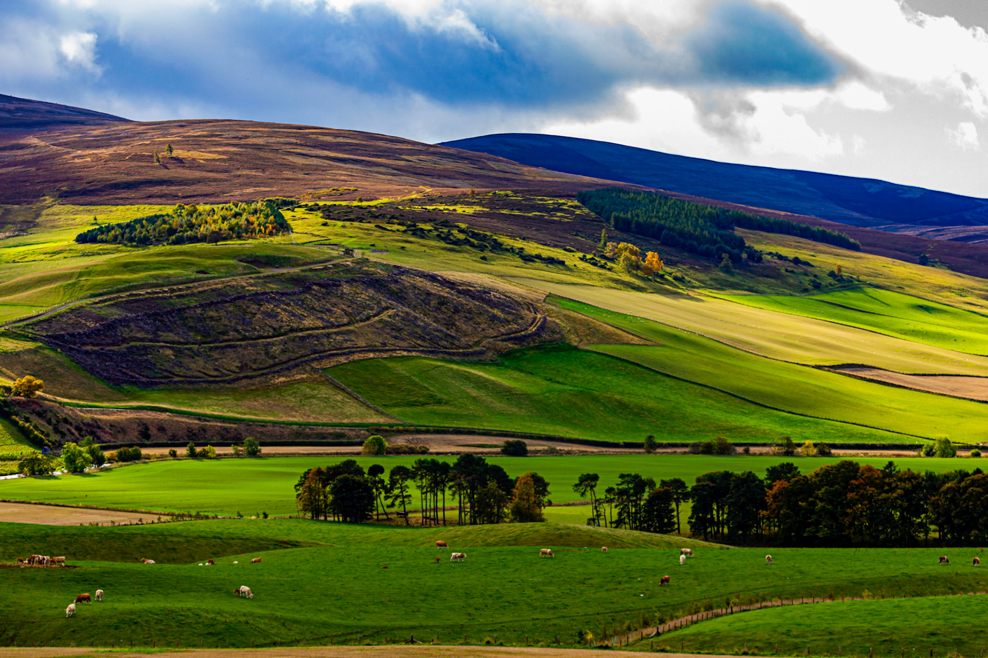Autumn in Aberdeenshire 14 to 16 October 2022