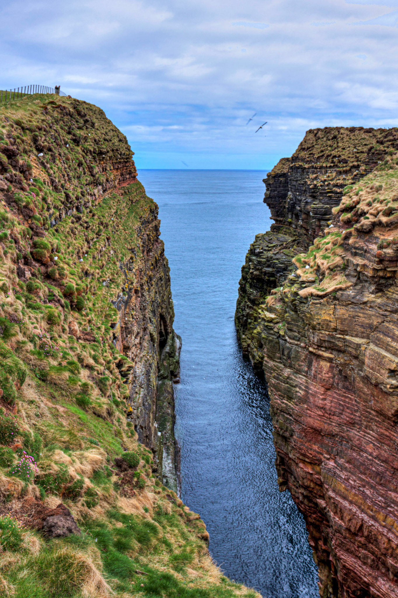 Duncansby Head 03 May 2026