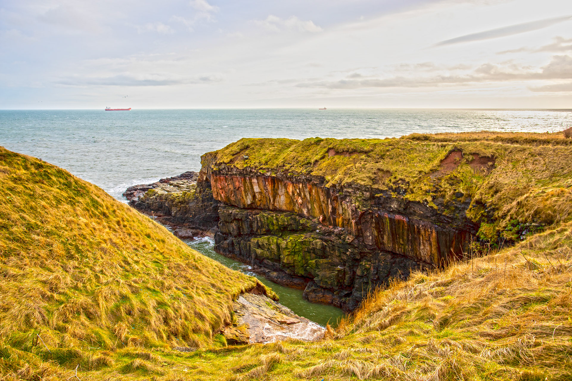 Long Slough - Walk Cove to Aberdeen 27 January 2024