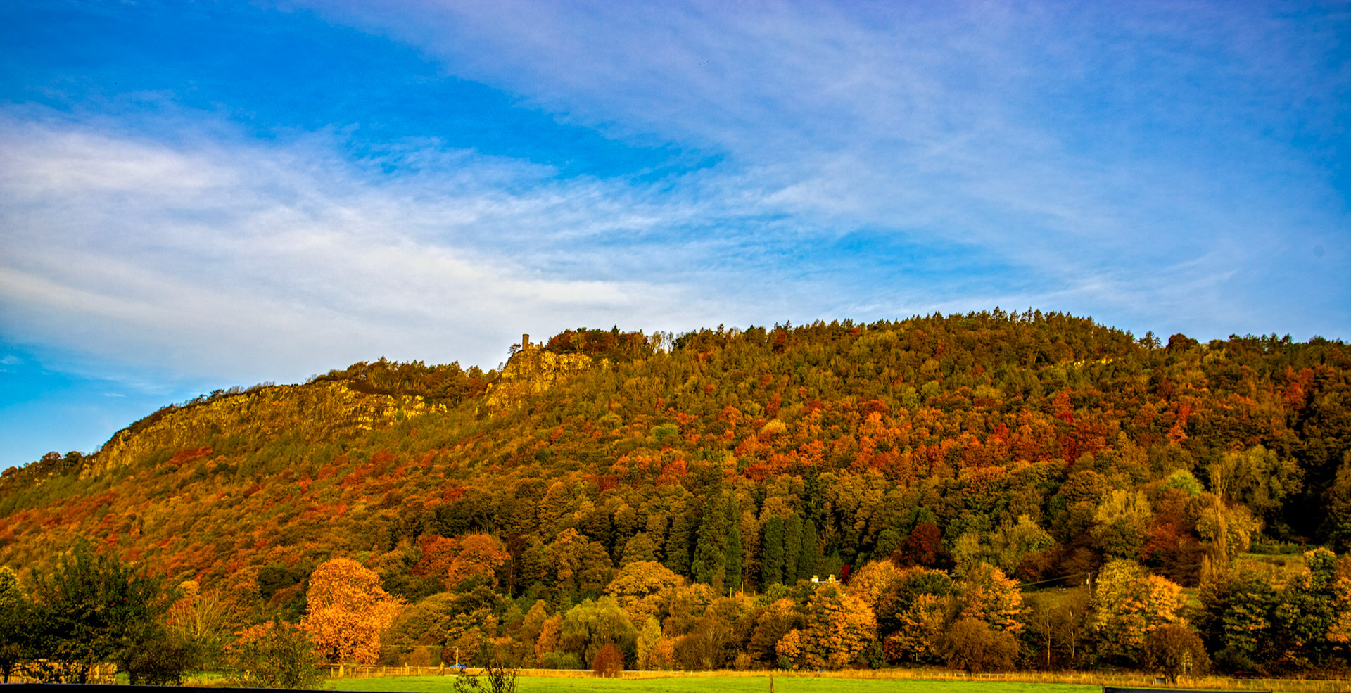 Walnut Grove. Autumnal Tour around Perthshire 19 October 2024