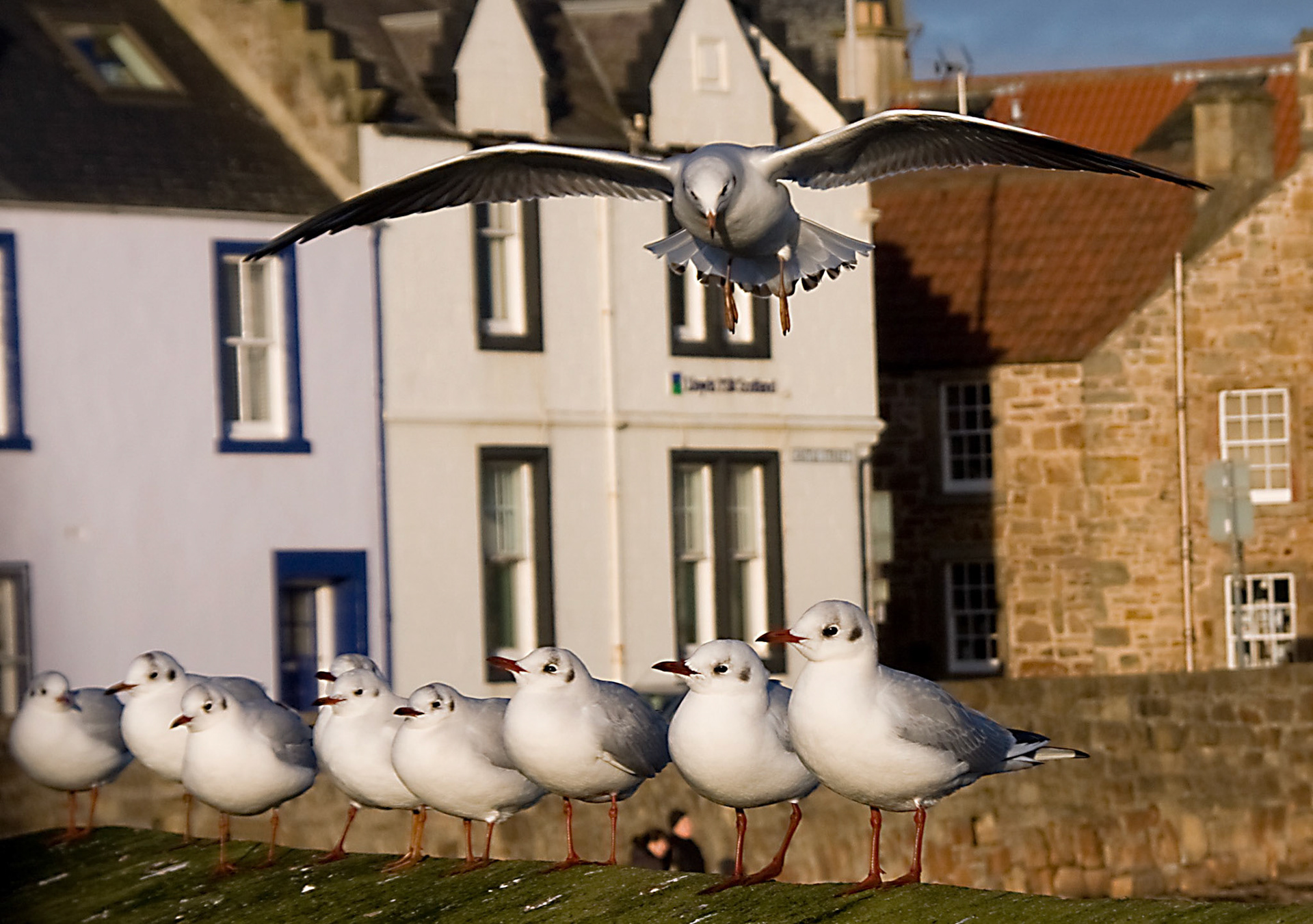 AnstrutherPlease see my other Photographs at: http://www.jamespdeans.co.uk/