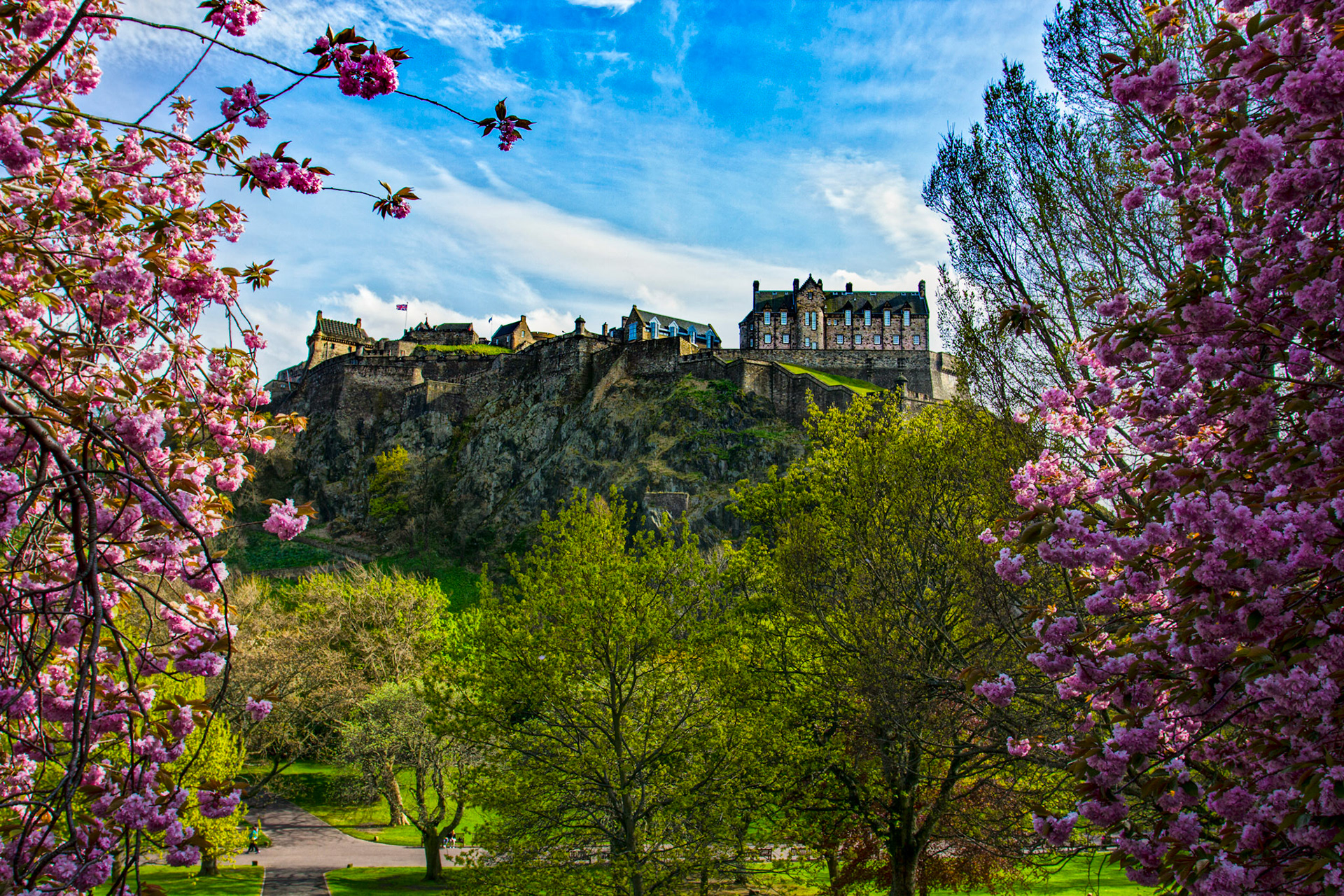 Edinburgh Castle - complete with some rather nice pink blossom.