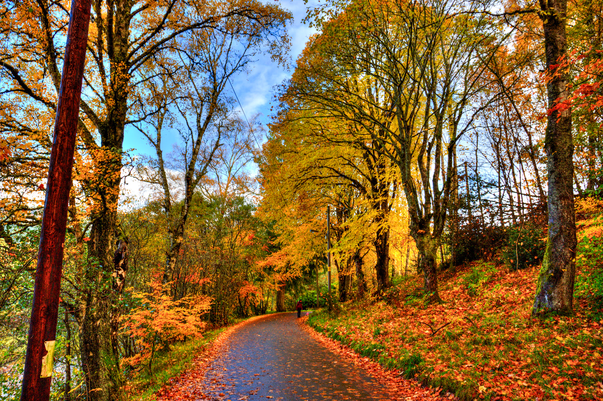 The Cuilc, Pitlochry. Autumnal Tour around Perthshire 19 October 2024