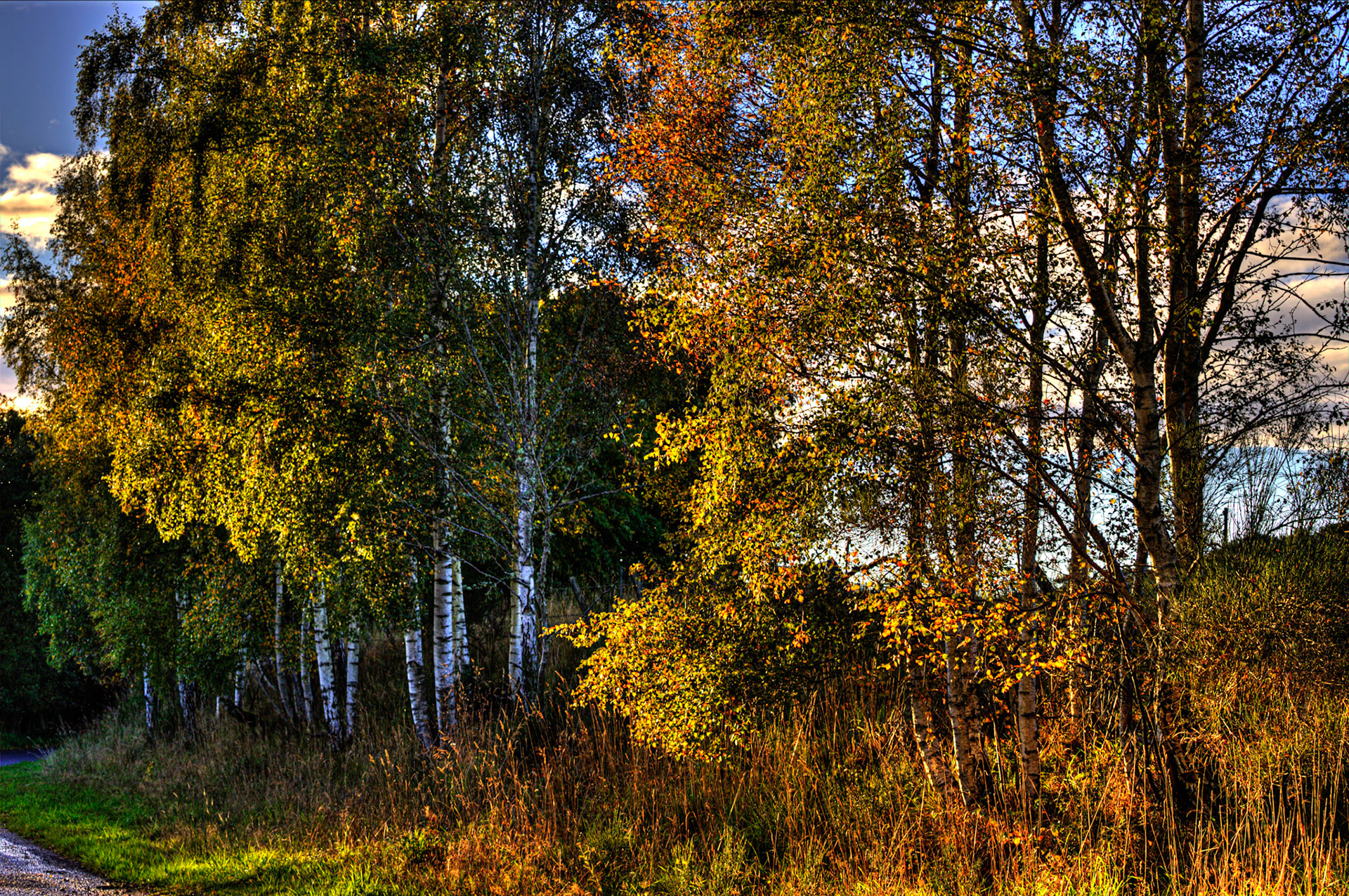 Autumn in Aberdeenshire 14 to 16 October 2022