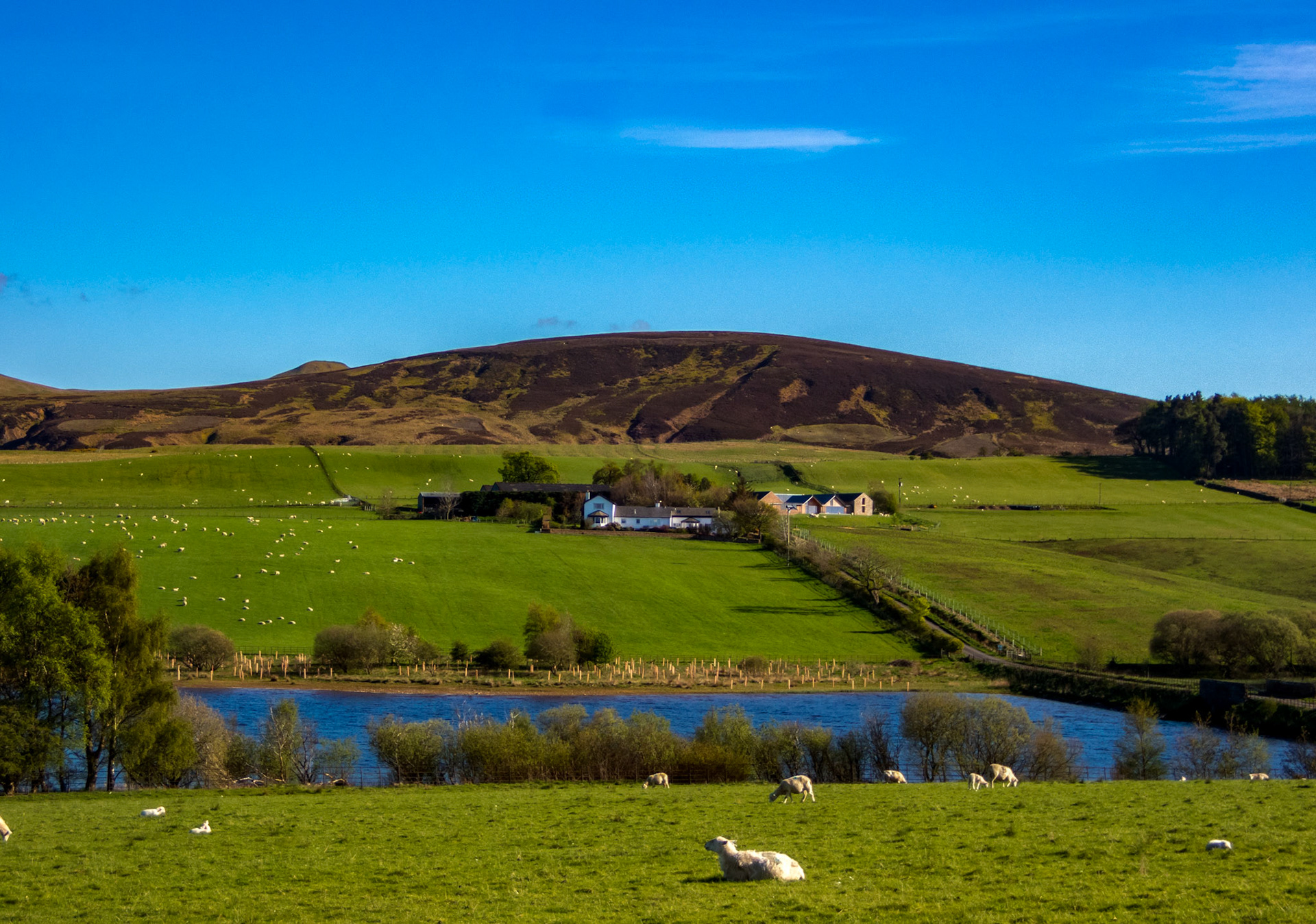 Threipmuir 11 May 2023 02027