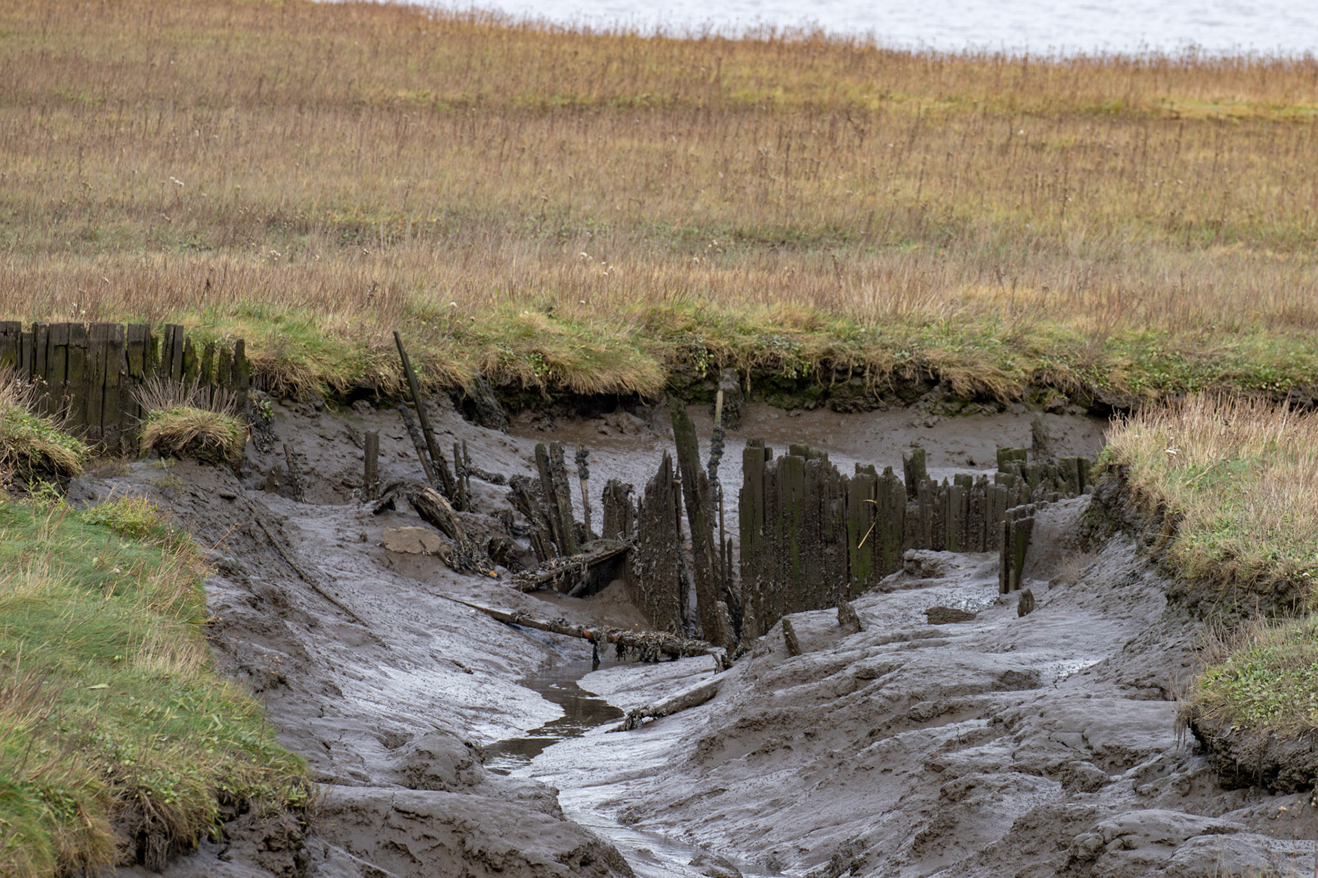 Higgins Neuk 23 Oct 2024