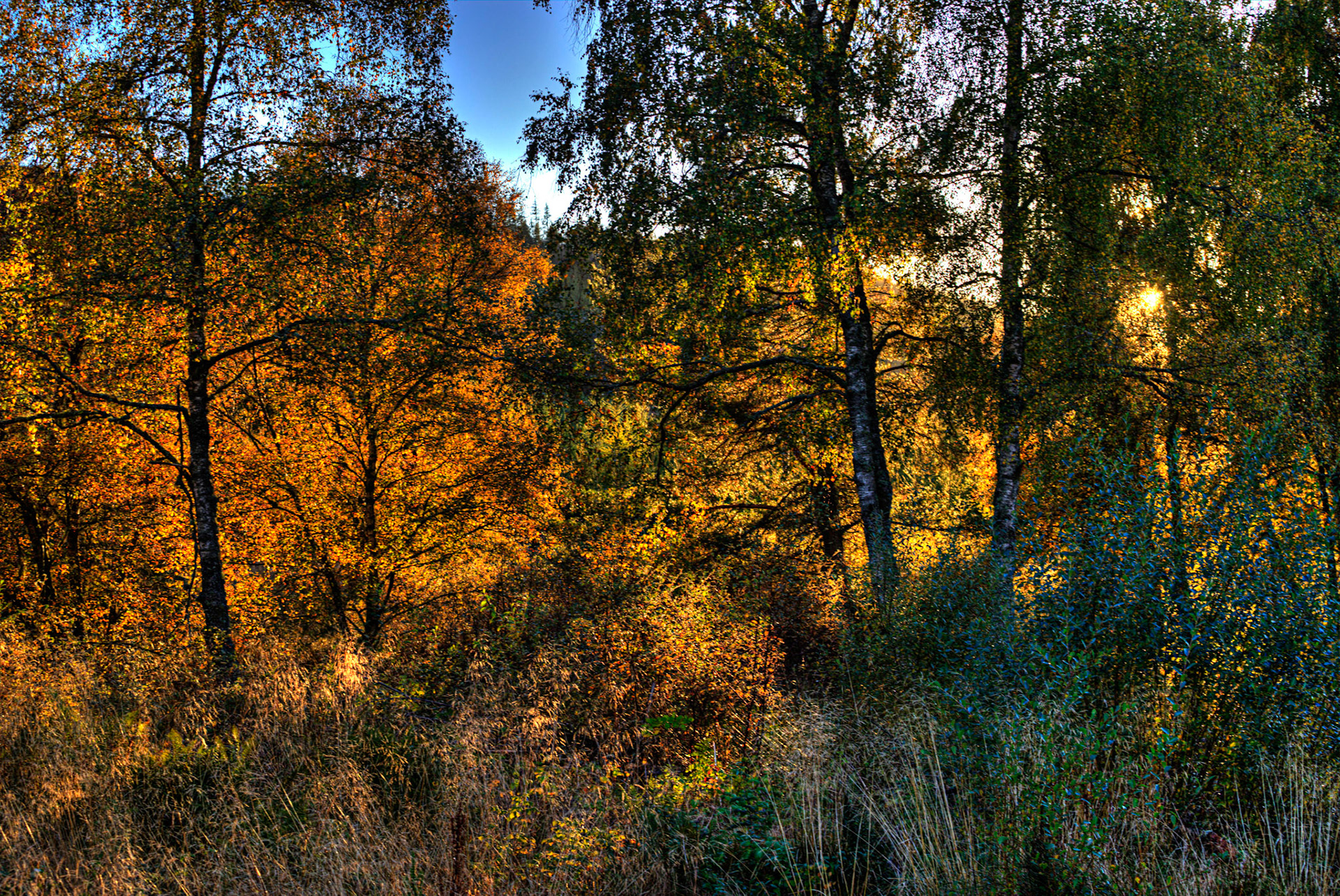 Autumn in Aberdeenshire 14 to 16 October 2022