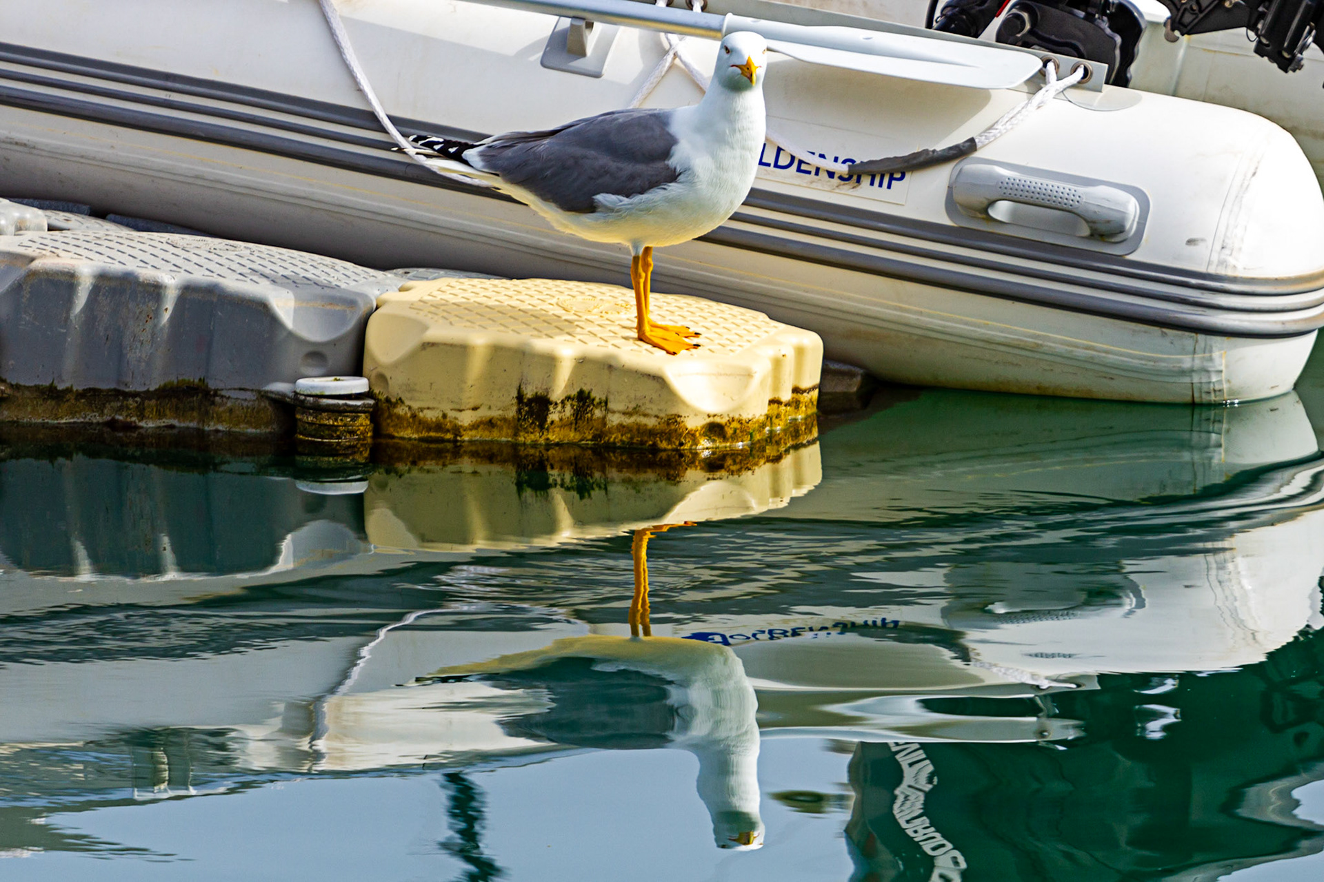 Alicante 19 March 2024