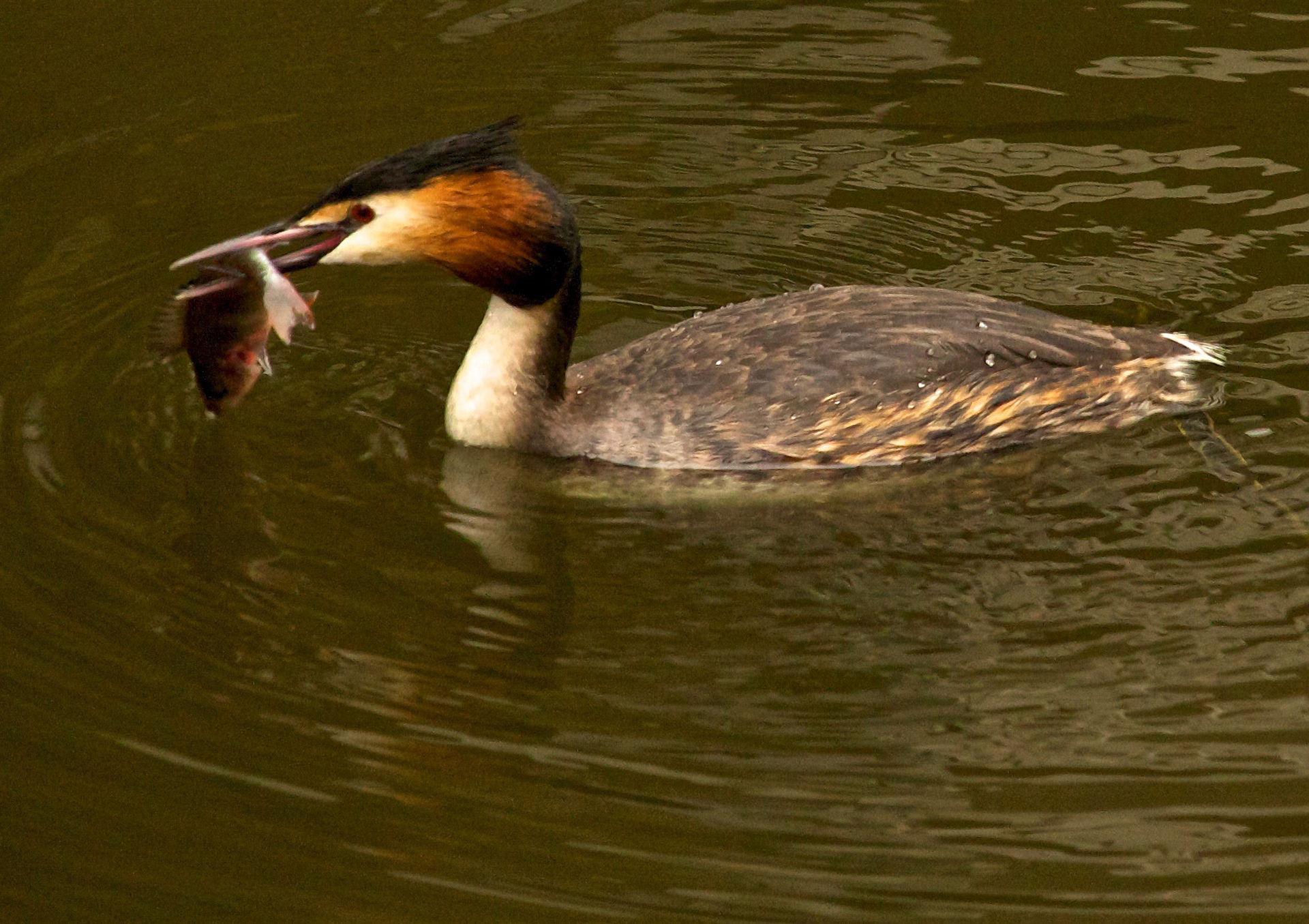 DelftPlease see my other Photographs at: http://www.jamespdeans.co.uk/