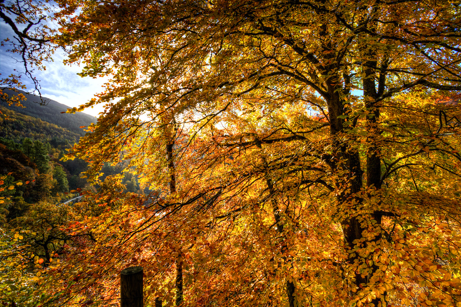 Killiecrankie. Autumnal Tour around Perthshire 19 October 2024