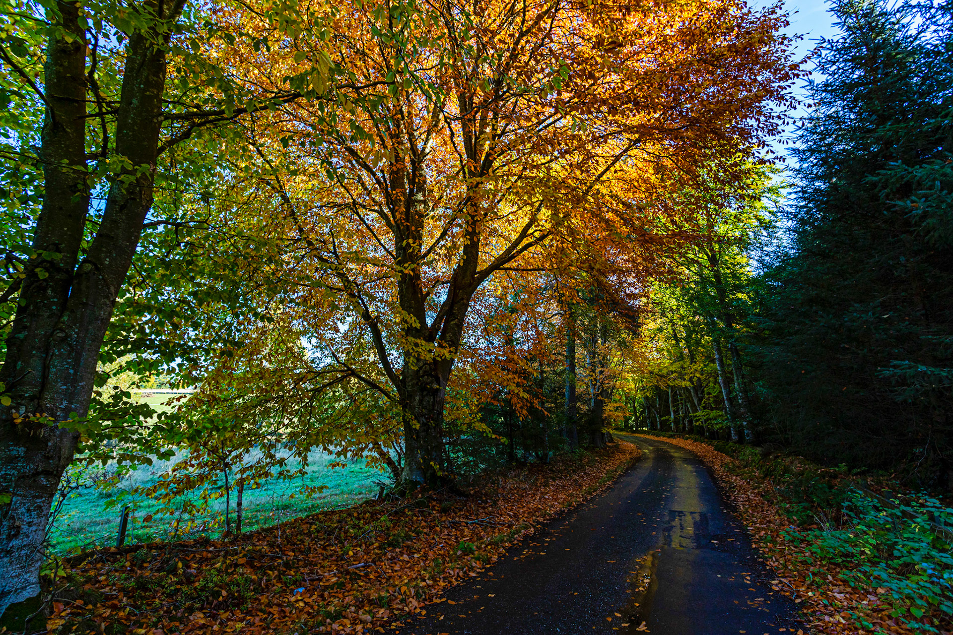 Autumn in Aberdeenshire 14 to 16 October 2022